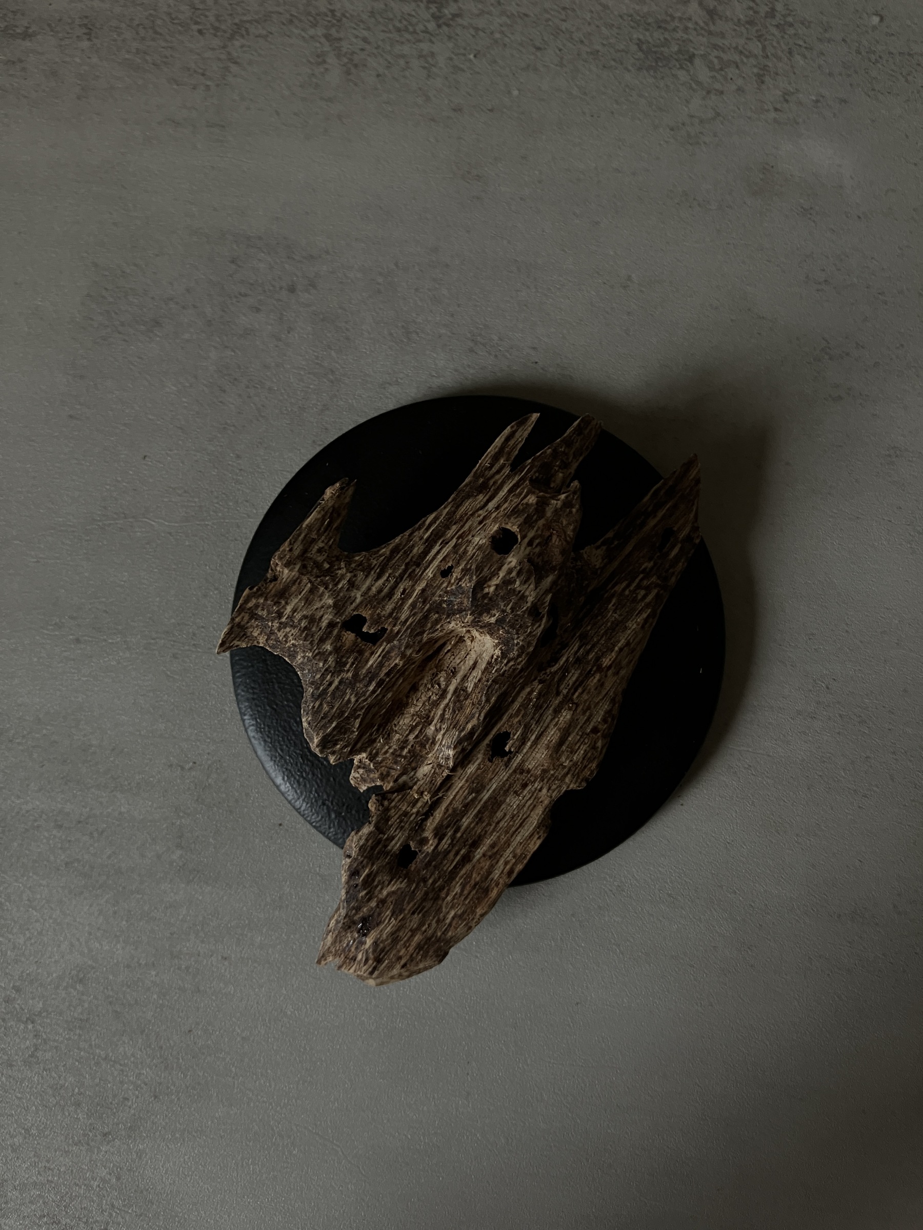 image_C8FEDE34-2AB7-47F4-9C3D-E42203540BD6_1761117262