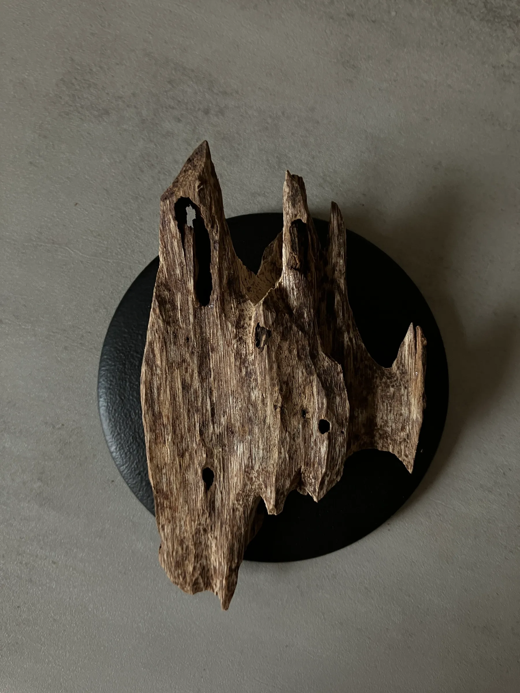 image_C3CC51CB-5BD5-4C32-A172-E4B01B92A182_1761117262