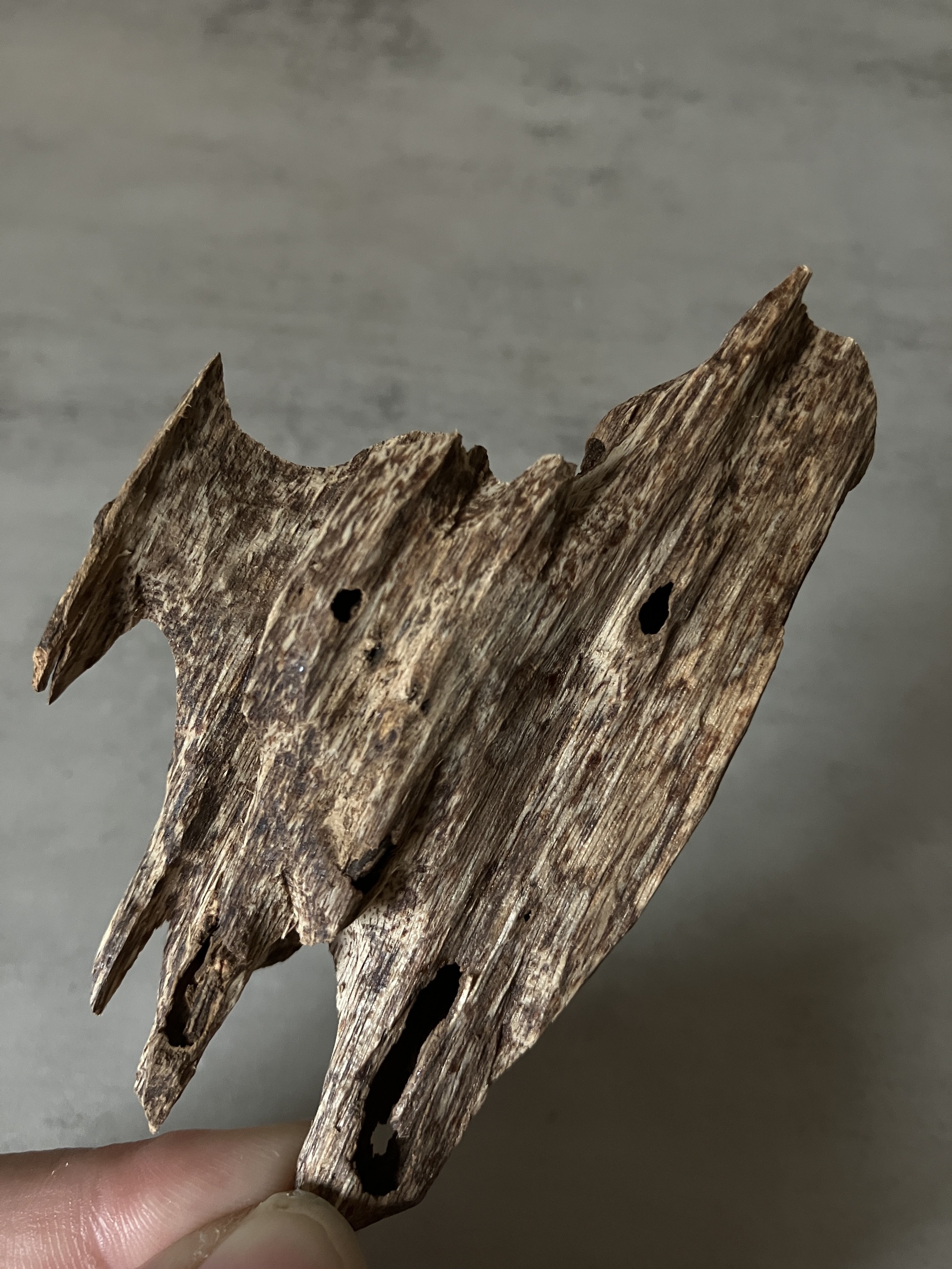 image_CB5CE677-120E-4863-9311-89D151B47087_1761117262