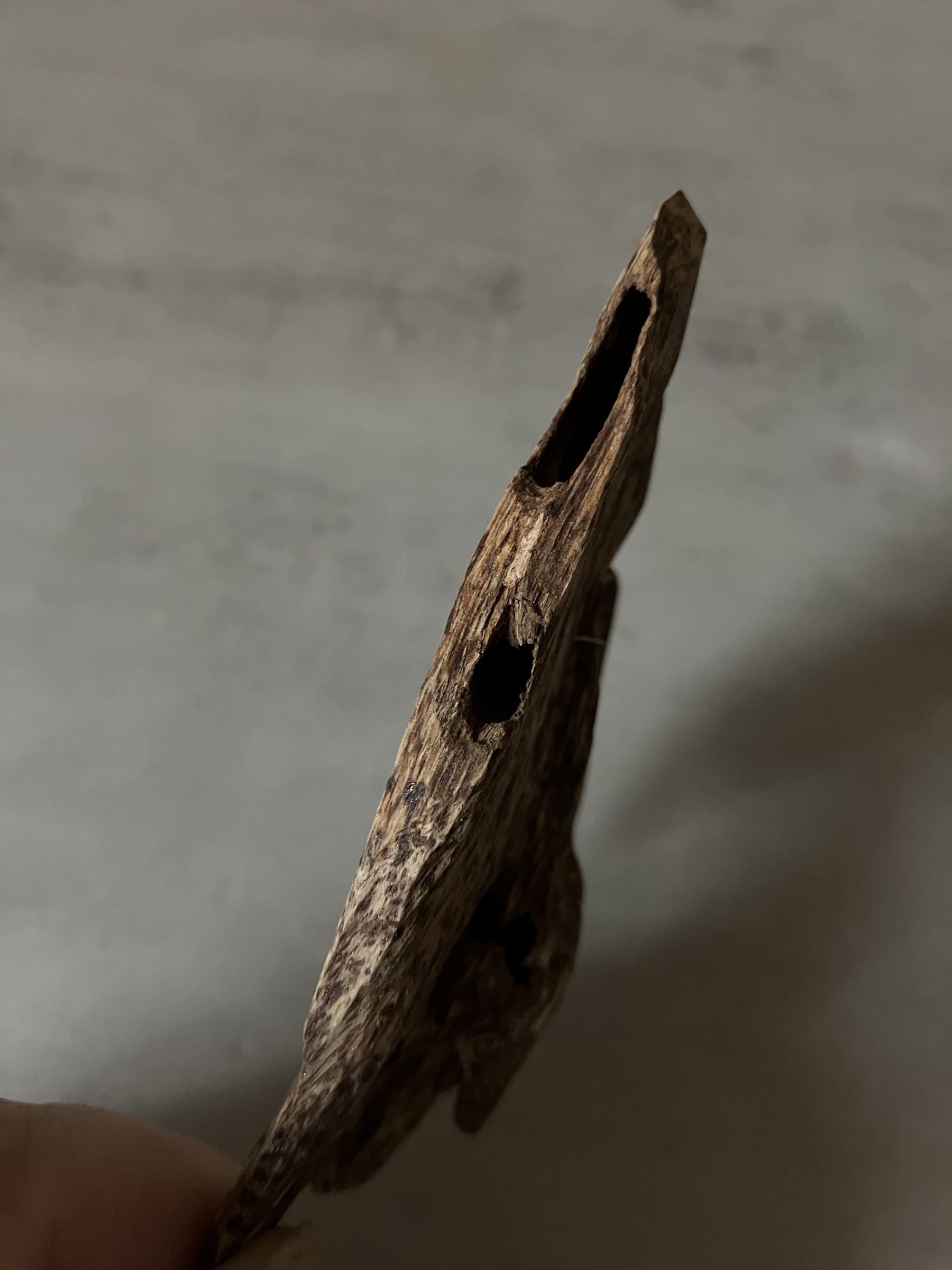 image_0010669A-710D-4AF2-8FC5-67EB2FB8BFD3_1761117262