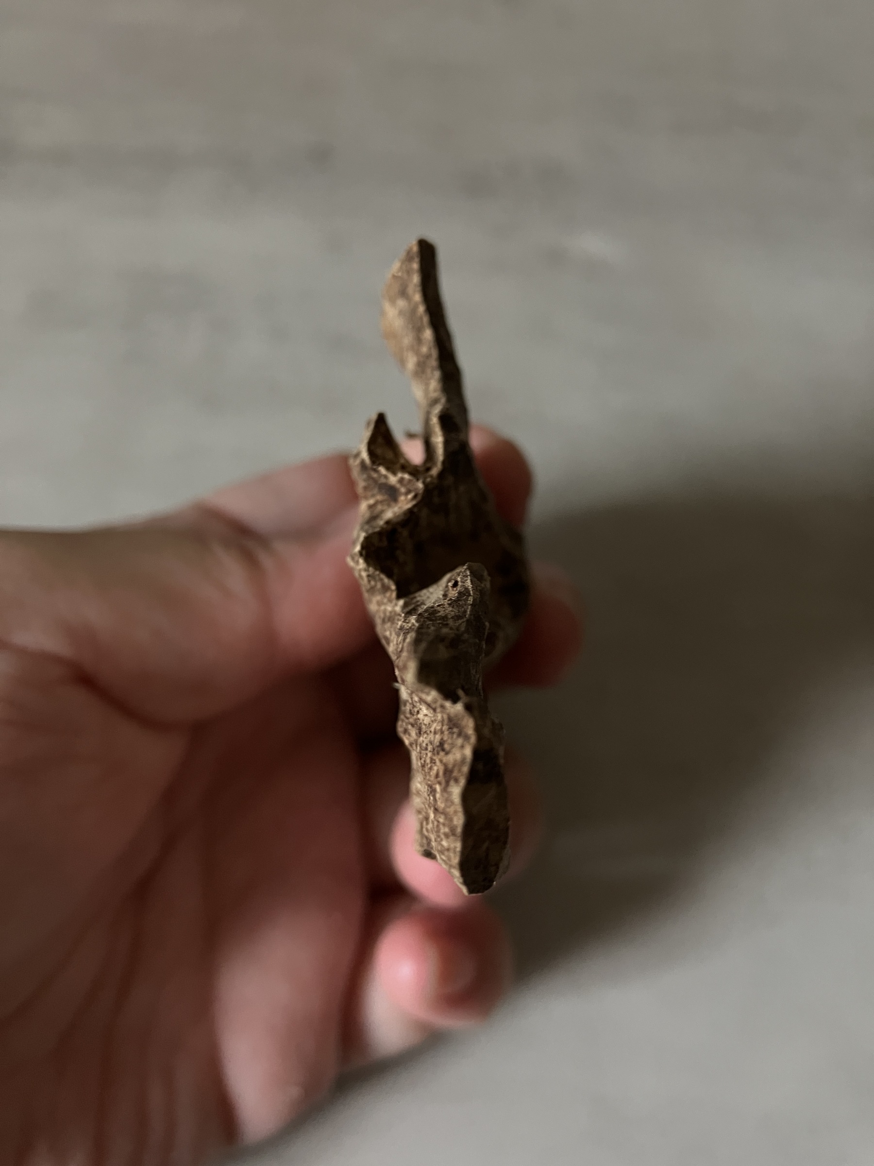 image_B6B112C0-37D8-4949-9E26-5F6859D08822_1761117262