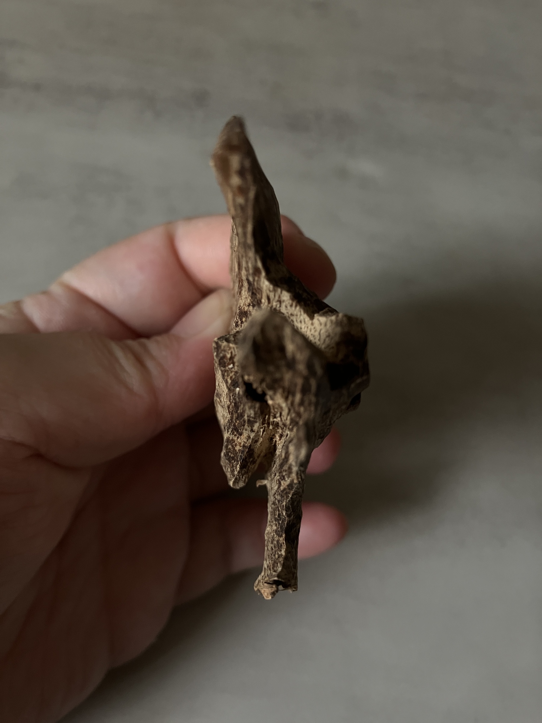 image_9839E30F-D1DB-4A17-B99C-76E67B045C97_1761117262