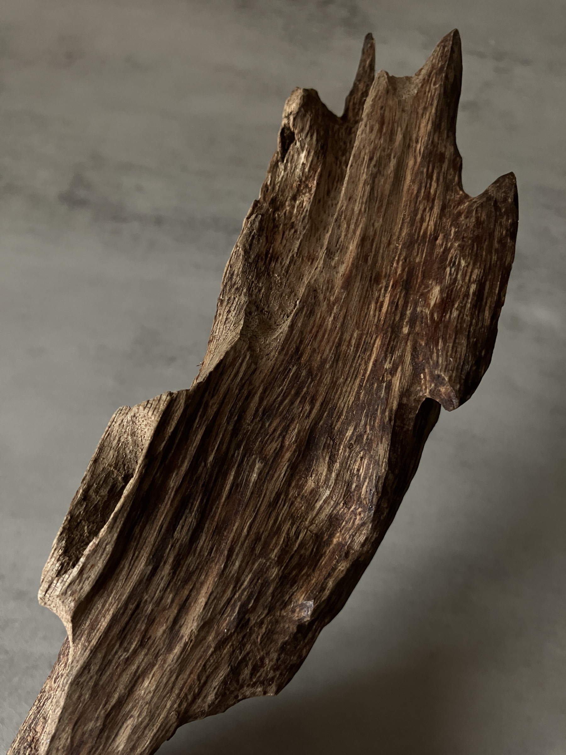 image_68C20D25-7CE2-479F-B640-816ECA4AF61E_1761117325