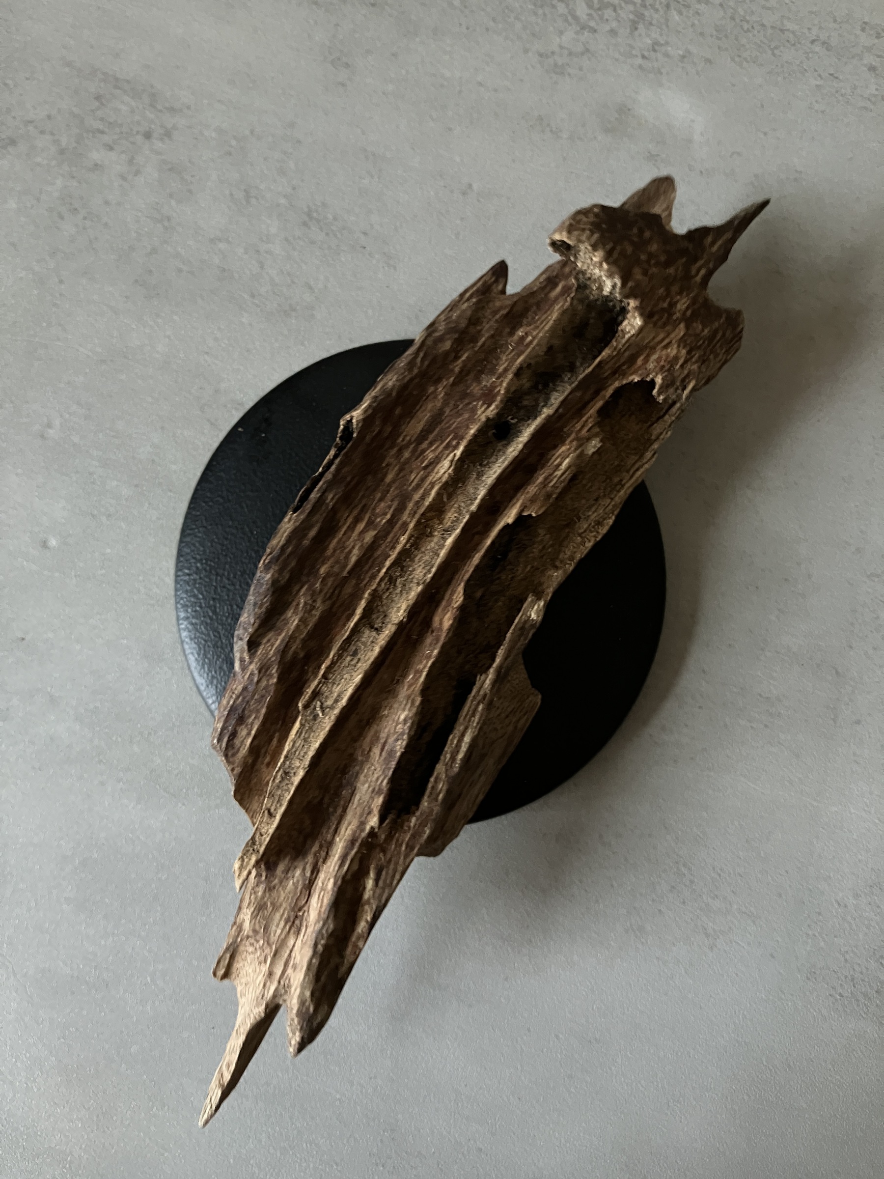 image_7A961F76-CE93-4274-9DEE-9D273C66CDCB_1761117325