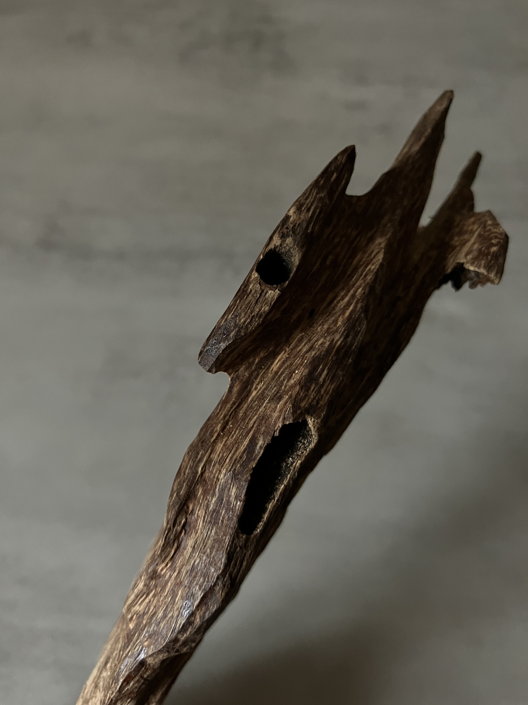 image_FB6368C5-8FE3-4D16-B8BC-06FBEA7CF2DB_1761117325