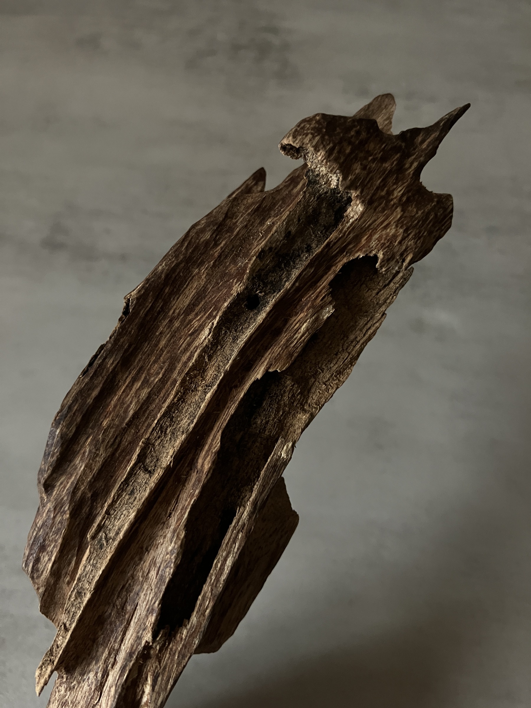 image_83EFA4D3-CC4D-4CDB-B33D-DAFE17E6B701_1761117325