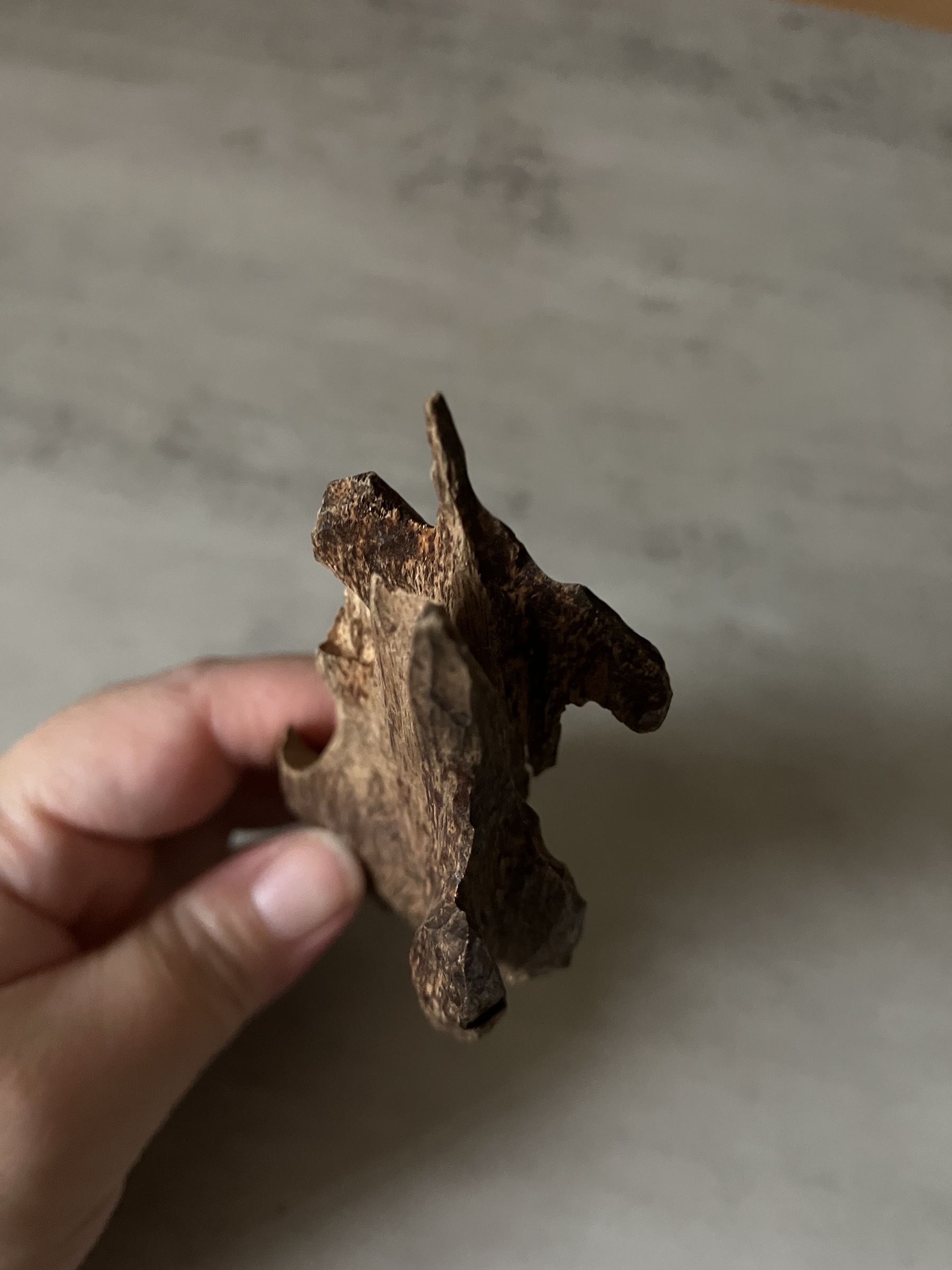 image_206F0824-6209-4DFA-AC46-3A218690B1DE_1761117325