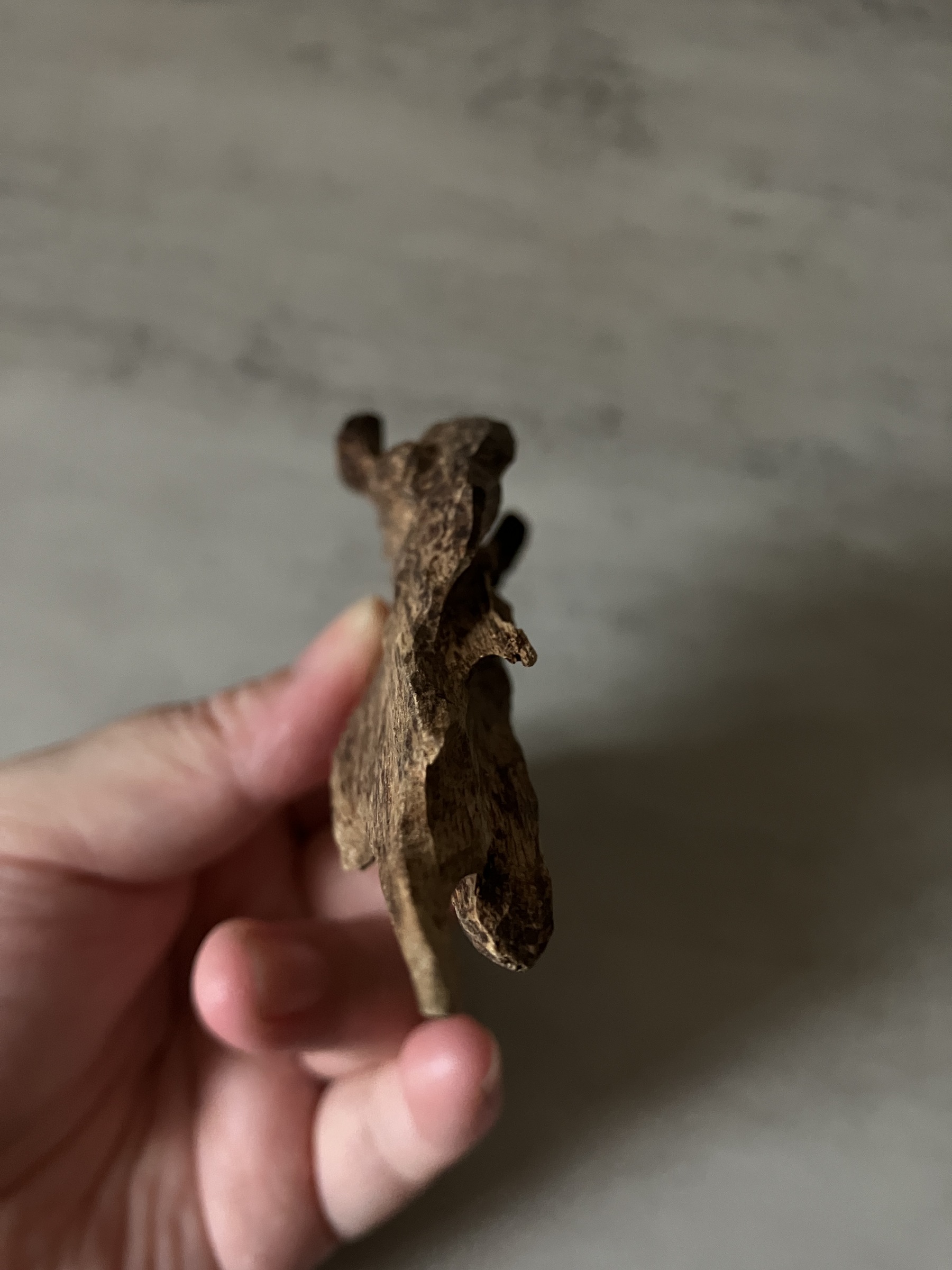 image_185FDB63-0FBB-4B27-A720-73DE824383CE_1761117325