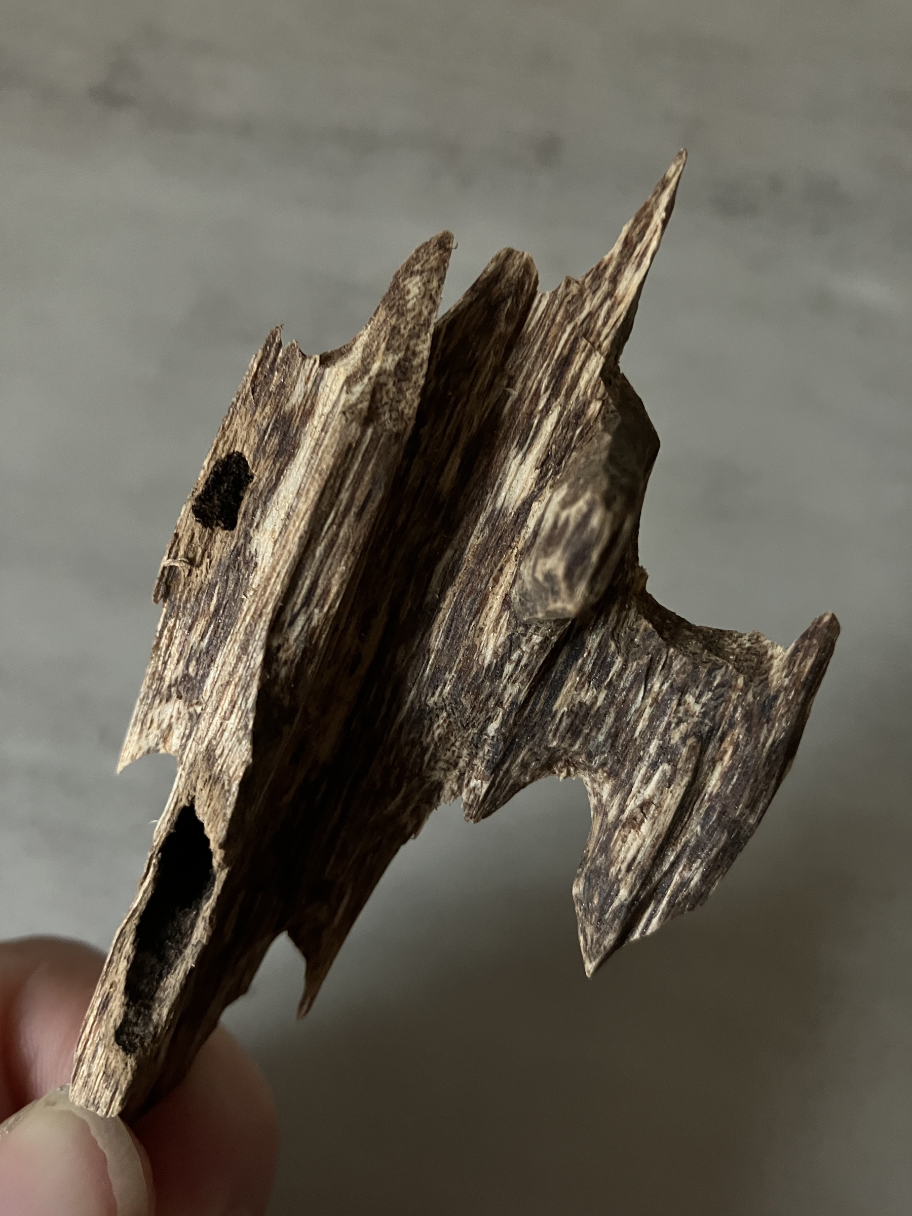 image_5B9954C1-2EE6-49E1-BE33-ADD60AE63787_1761117403