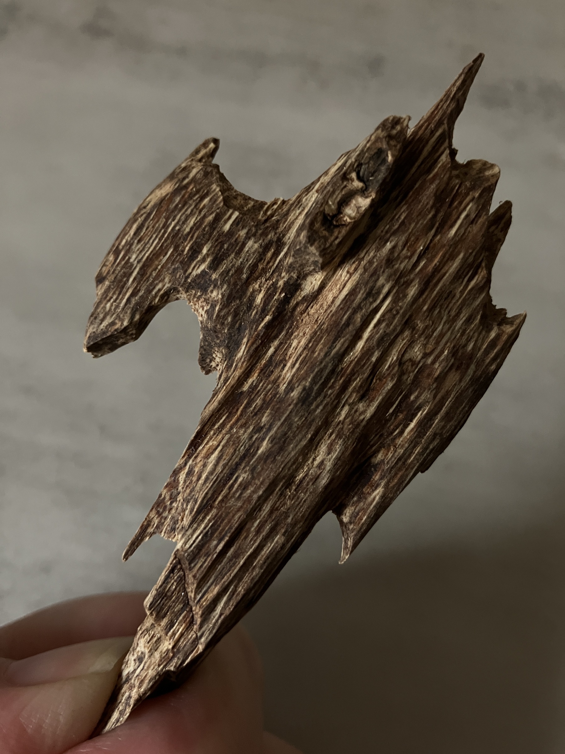 image_FB468541-61DC-465B-8E76-703CAE9D0551_1761117403