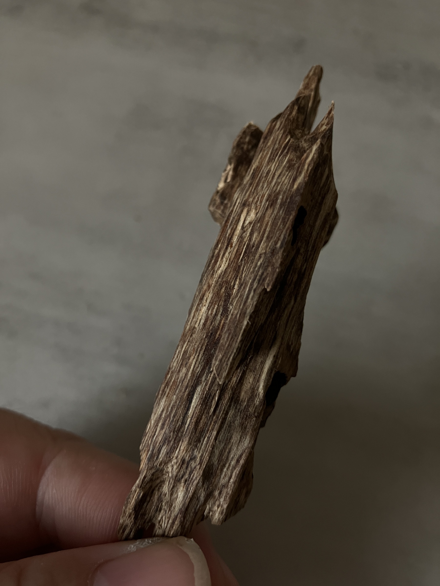 image_865B56EC-2600-46A1-8342-DC81001F0D33_1761117403