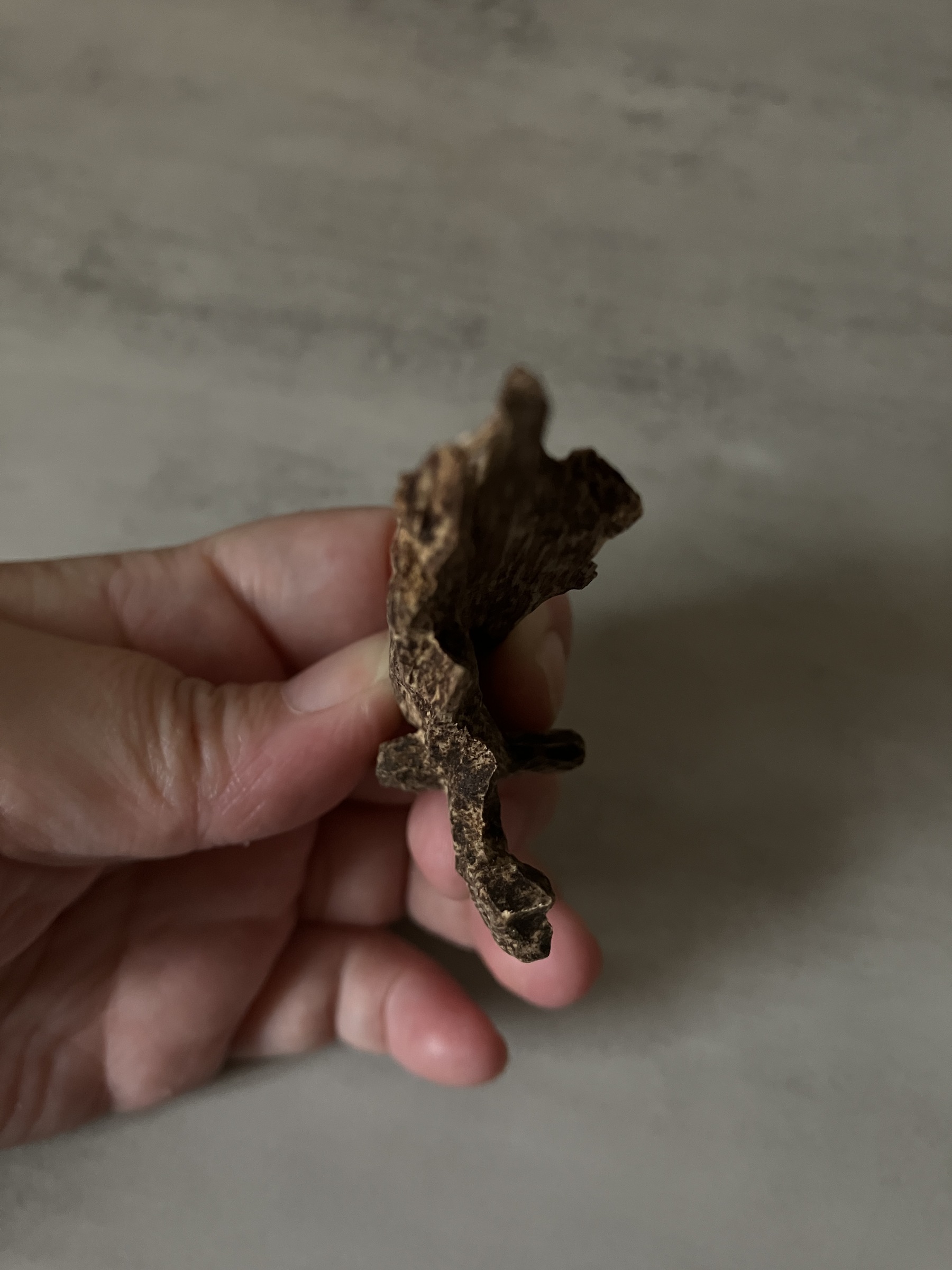 image_B3185251-A397-4CE8-B68B-B31930D18467_1761117403