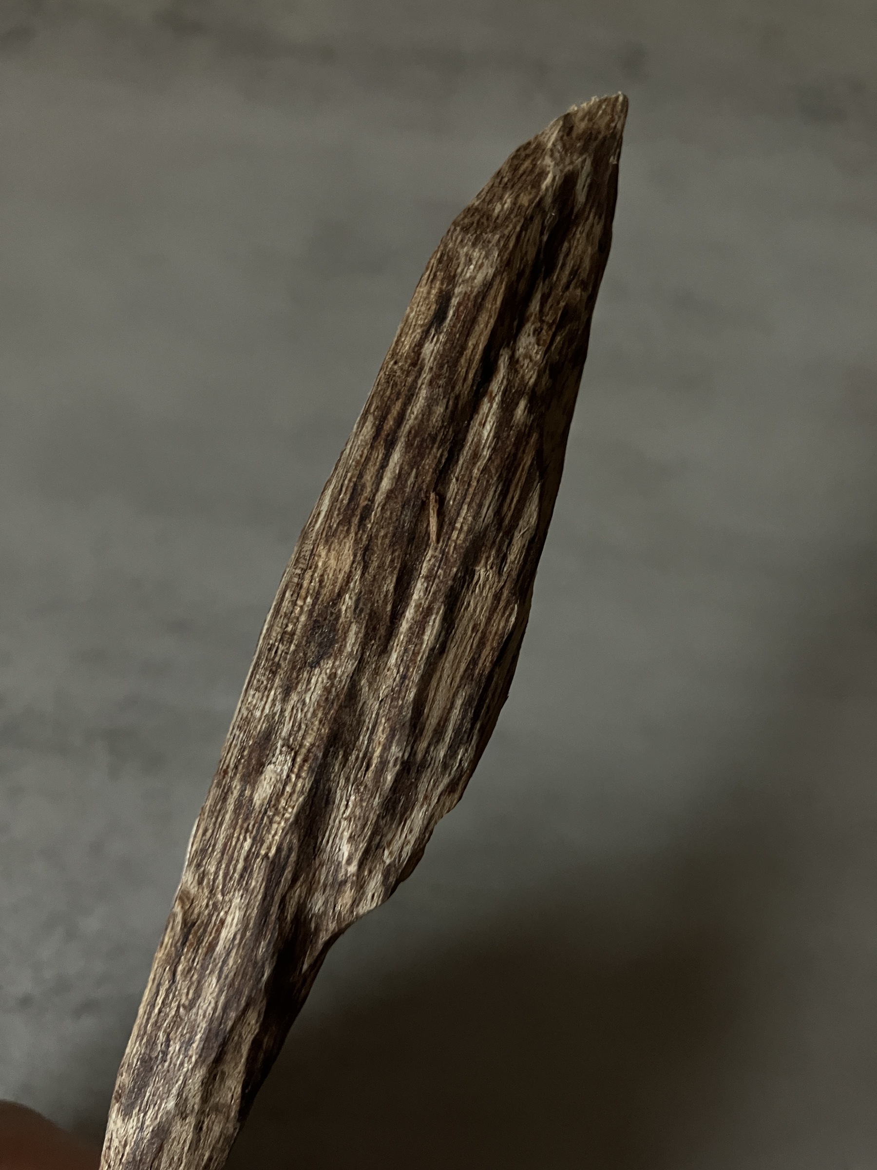 image_272FAFB4-E2CE-4865-950A-2C92FA78E774_1761117471