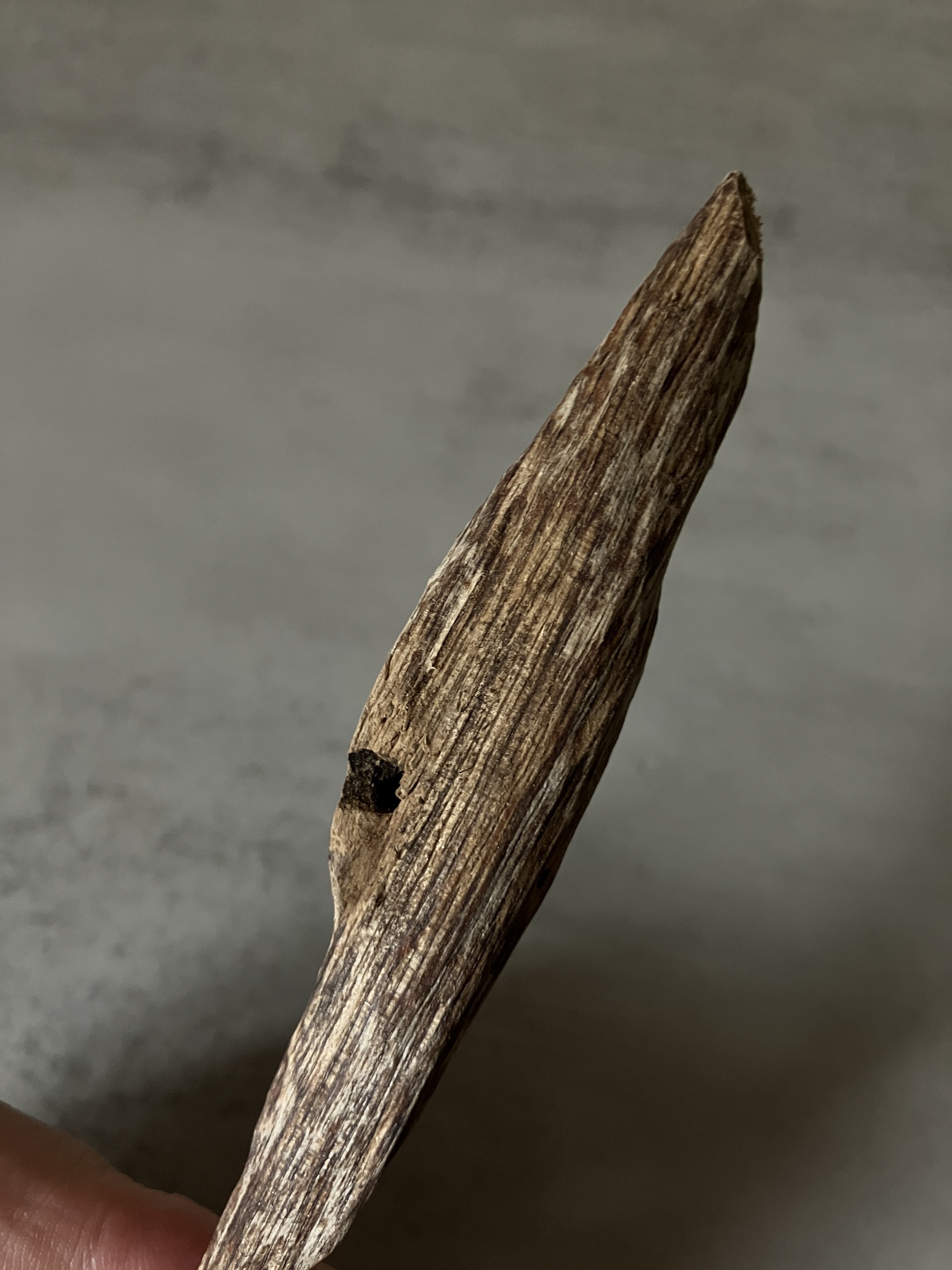 image_0A89C079-6640-4685-B780-EBEE709EDE45_1761117471