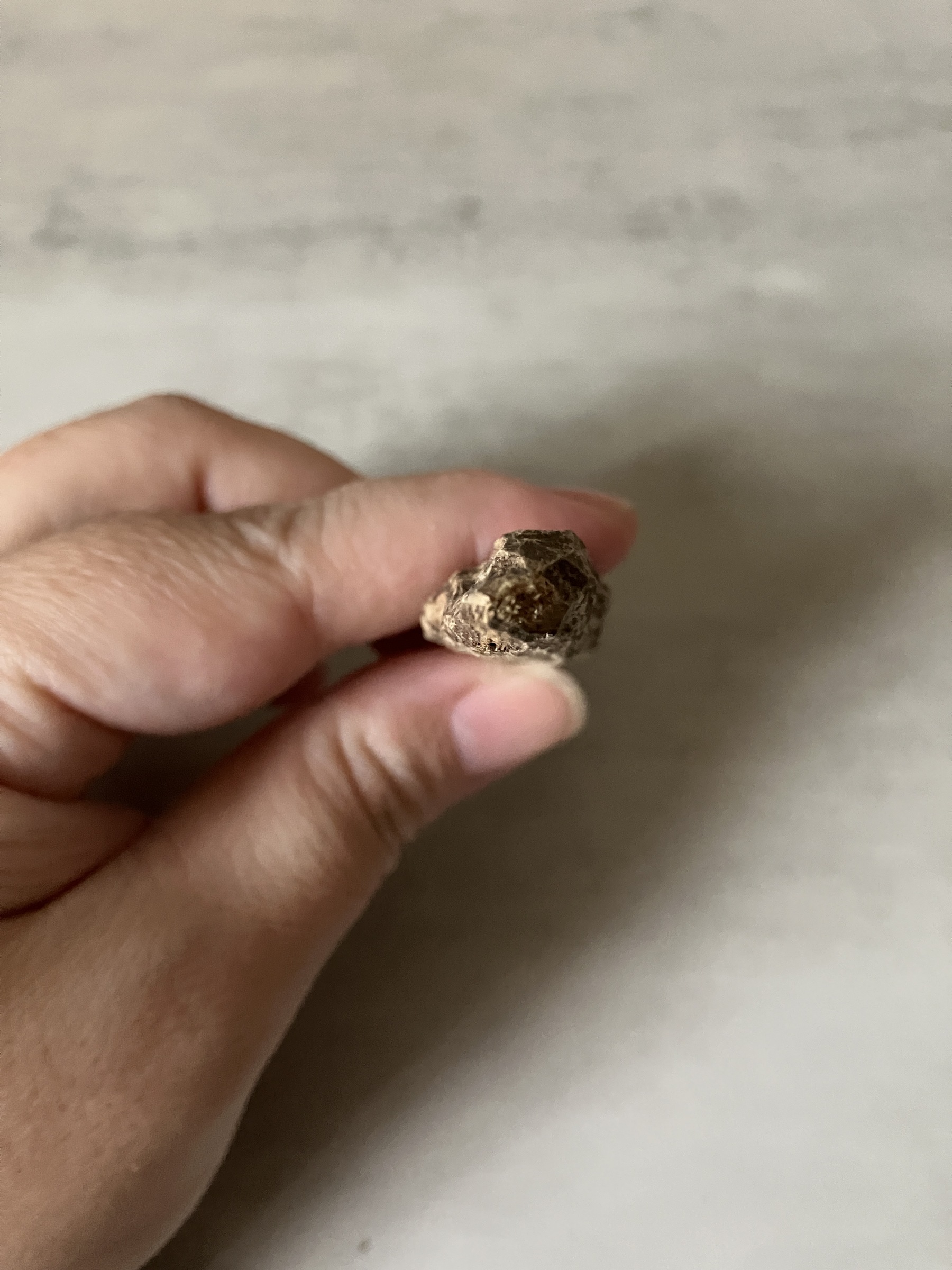 image_EC95CA8F-BAF9-4E02-B5B1-E2FEBBBDCE1A_1761117471