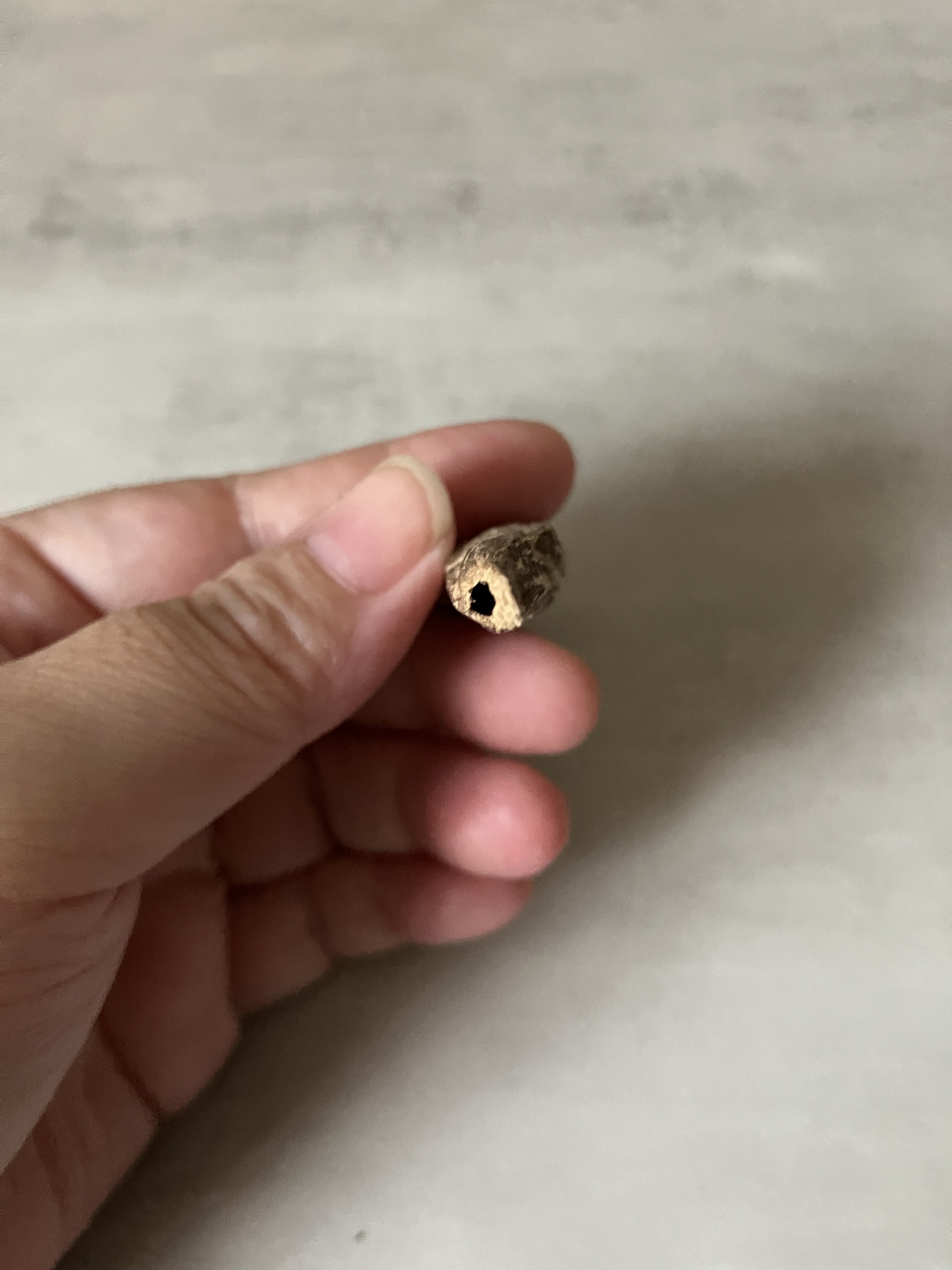 image_1921751F-75CD-4C3F-A83E-C1D079497D32_1761117471