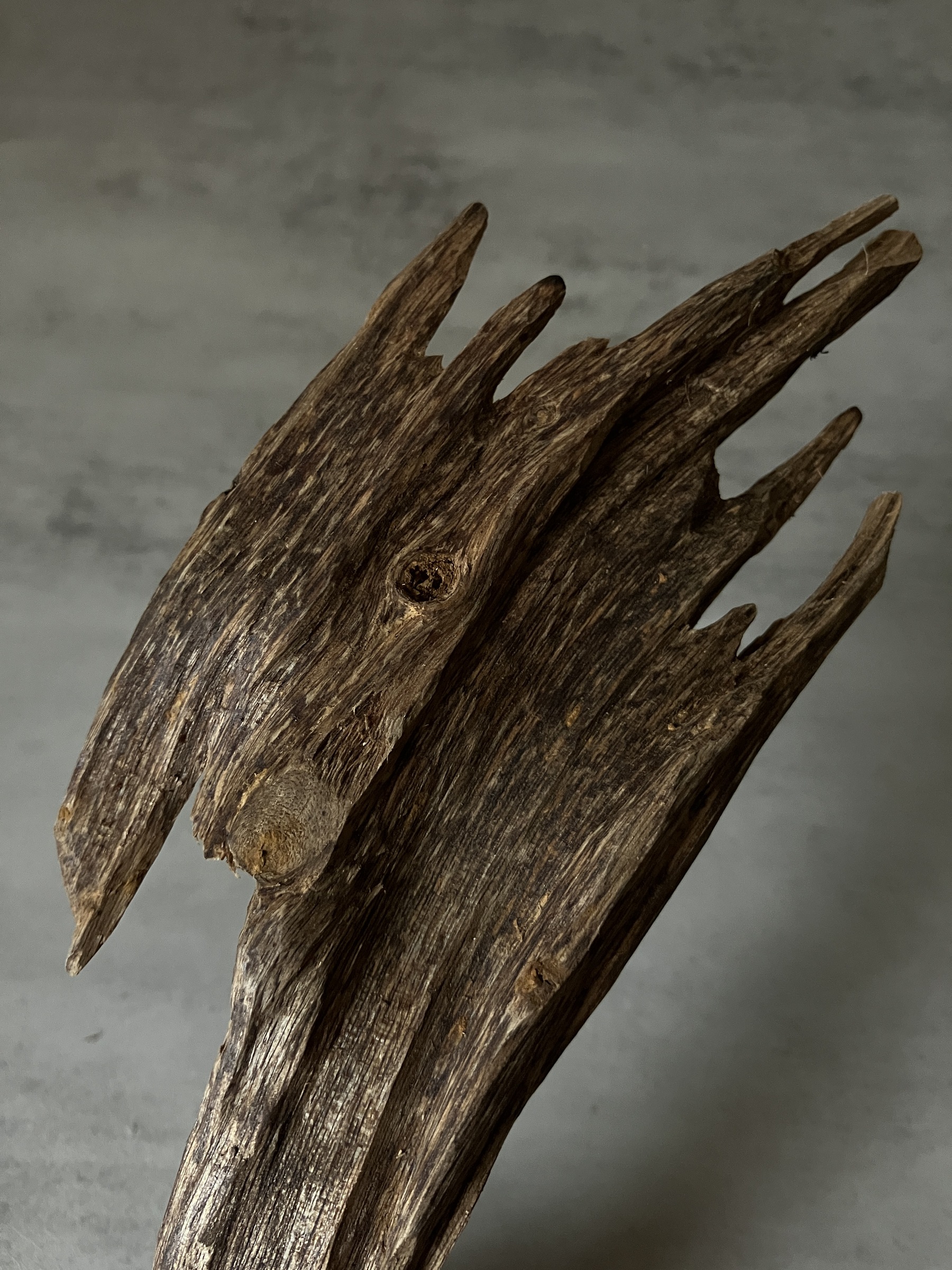 image_9A8CBAD2-EB24-46D2-8020-00A42AE140B5_1761117541