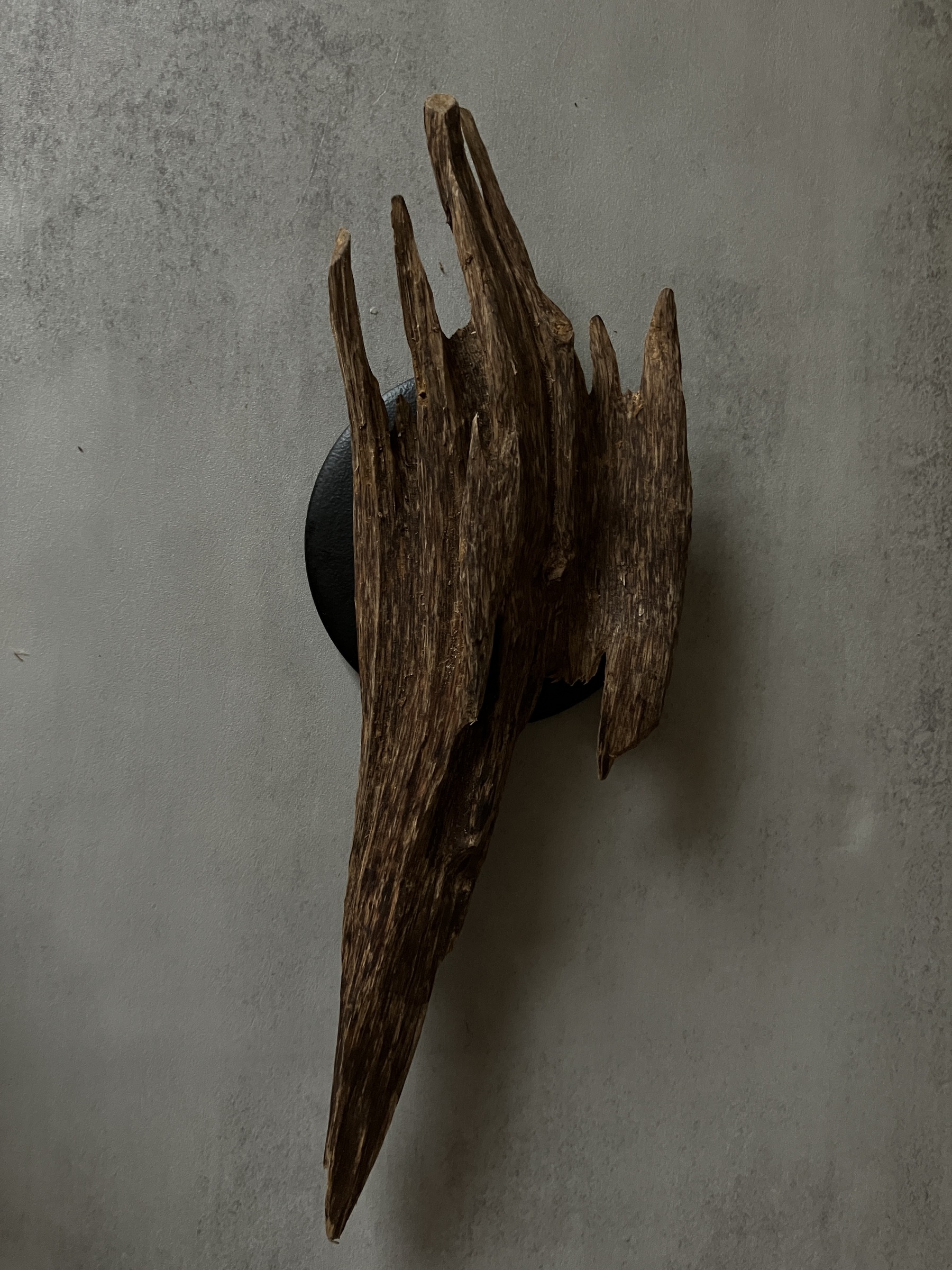 image_EE615066-BE11-43B3-9556-66A473EC6A87_1761117541