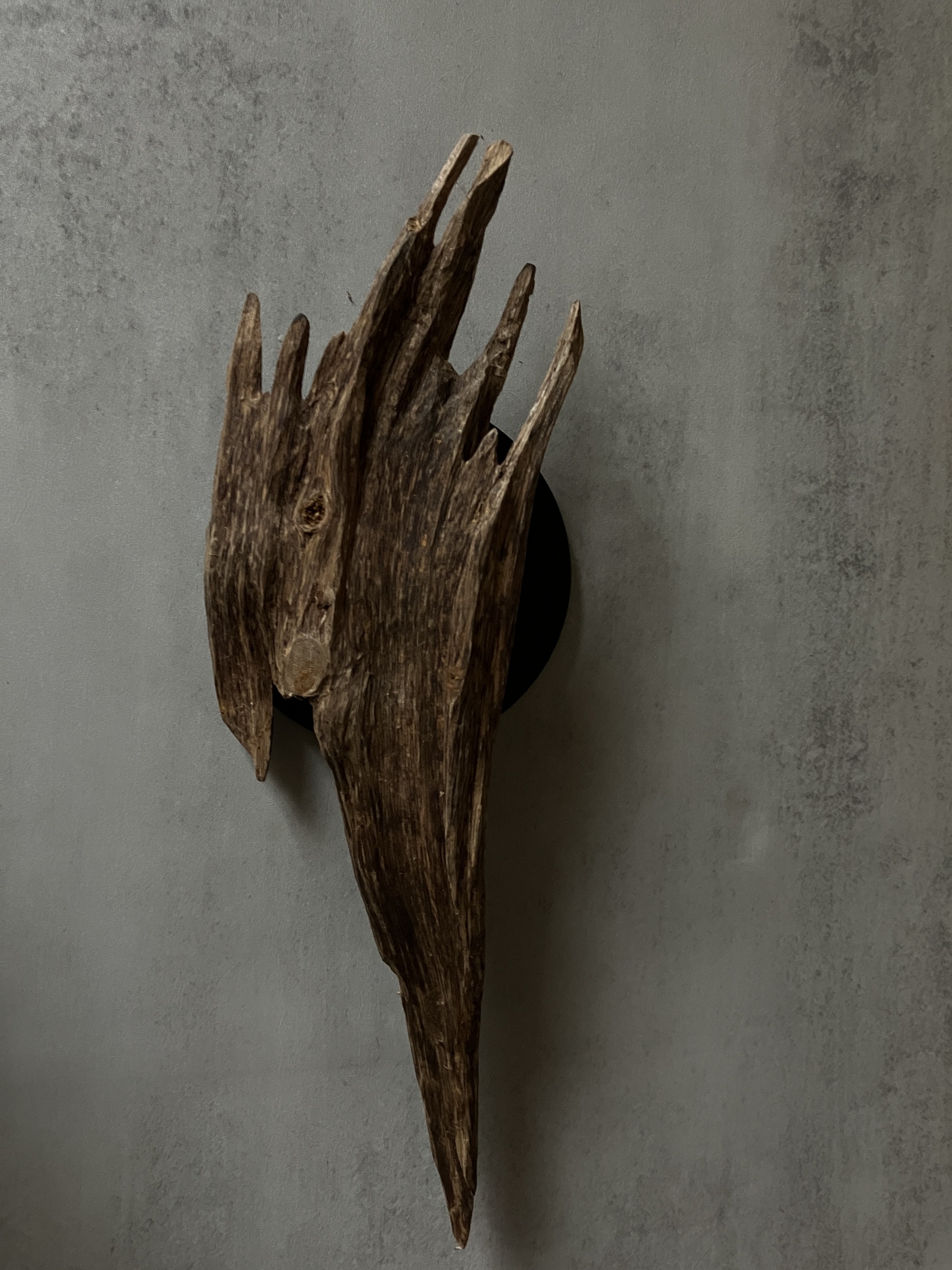 image_D8268AB5-EE15-4069-9F75-85C44A6A3953_1761117541