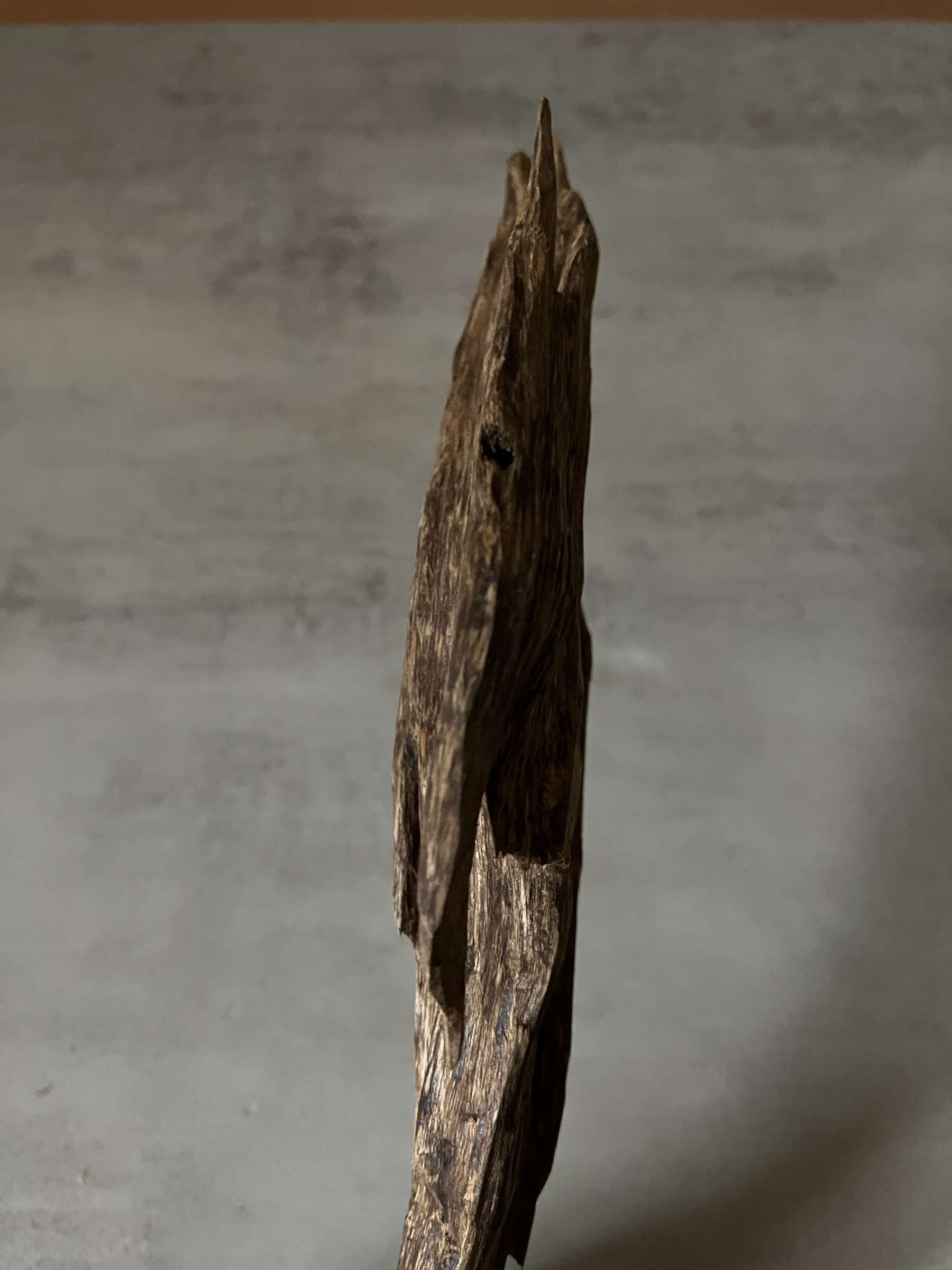 image_2C2468EC-8516-46F8-9CAA-2F0D99496512_1761117541