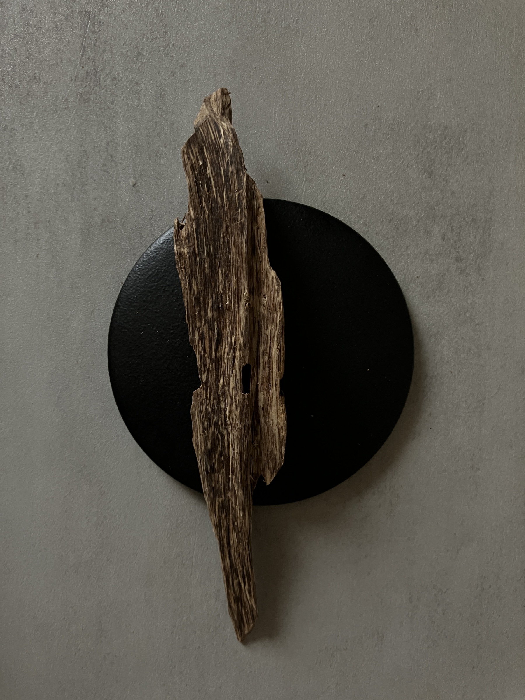 image_AEC52960-54F1-4851-8571-F70EB25E3364_1761117628