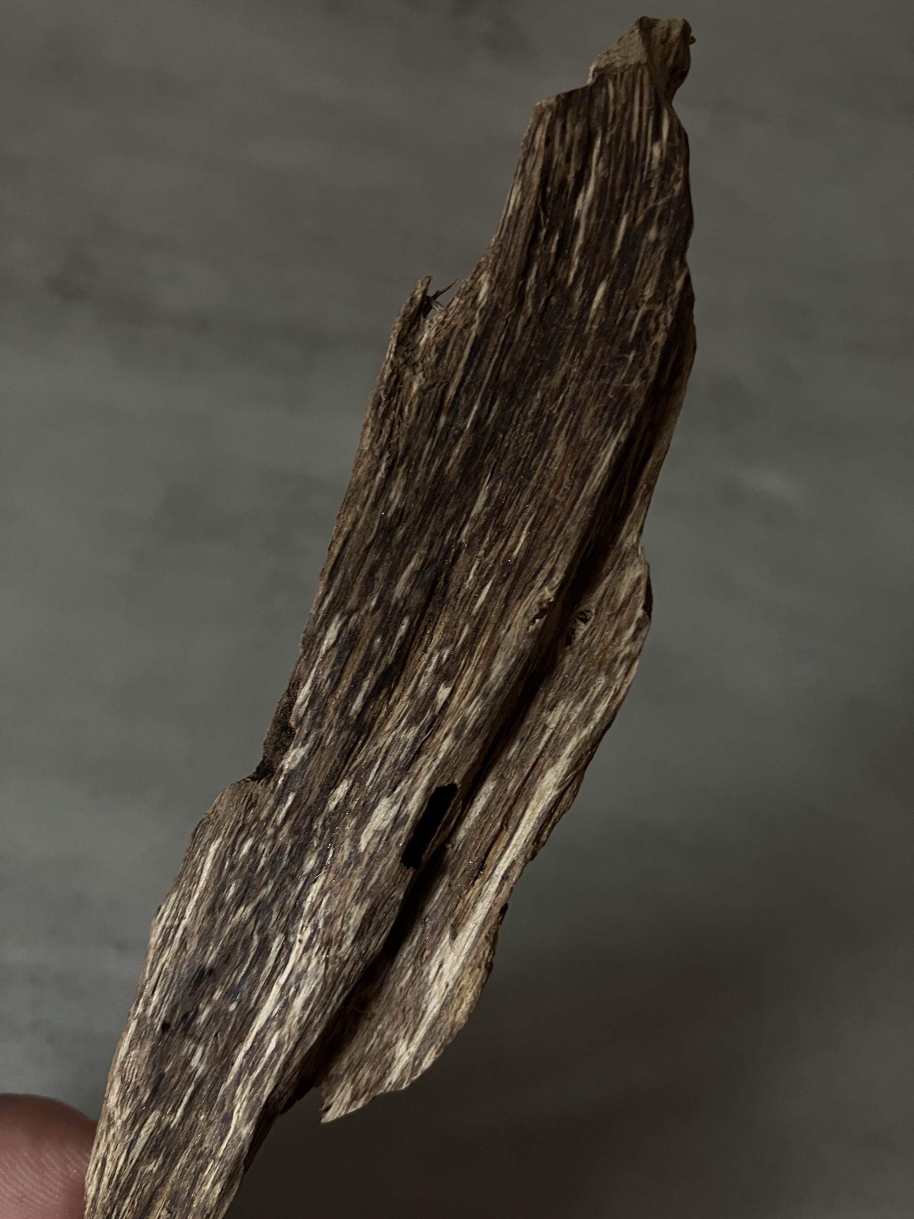 image_01A2C47E-02A0-4391-9C9B-5449F2A8990B_1761117628