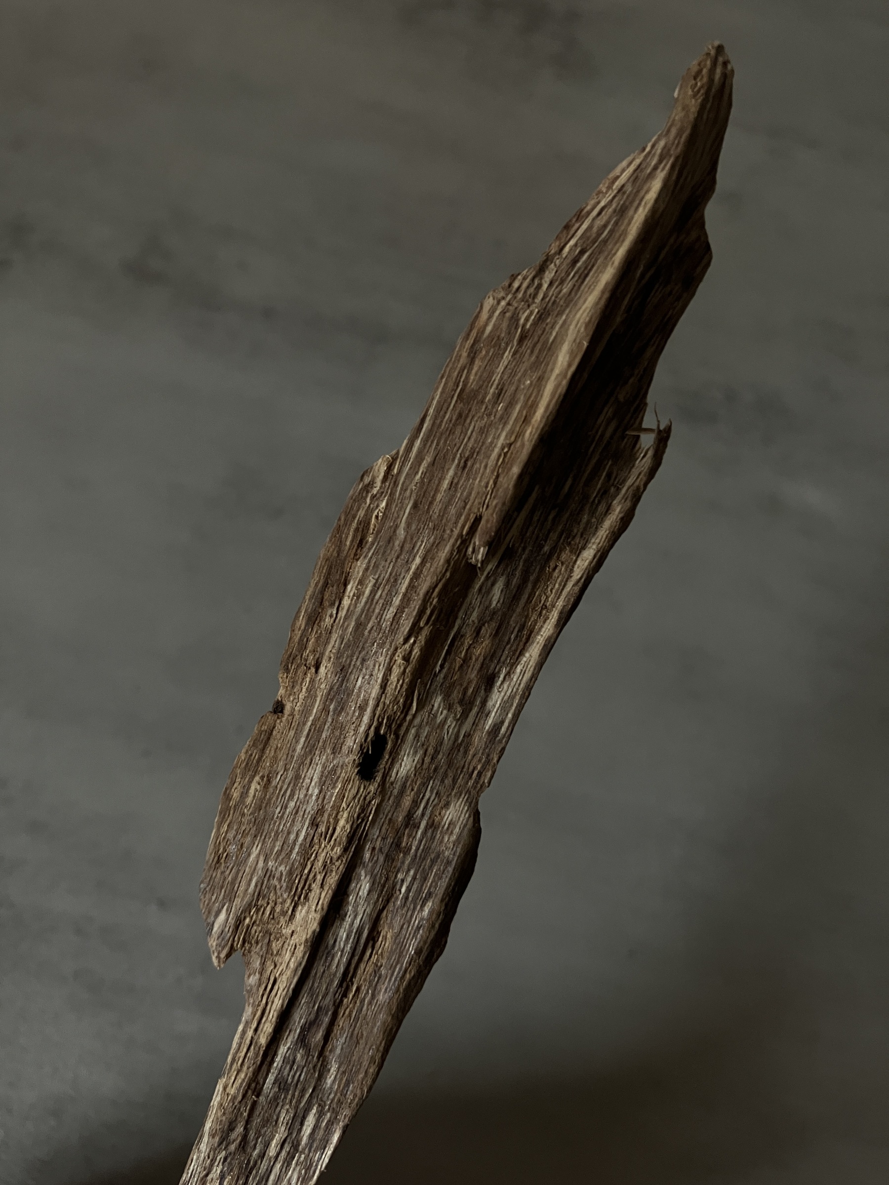 image_FECB17CD-E7BC-4F8A-8F59-B7C0E7CFDB93_1761117628