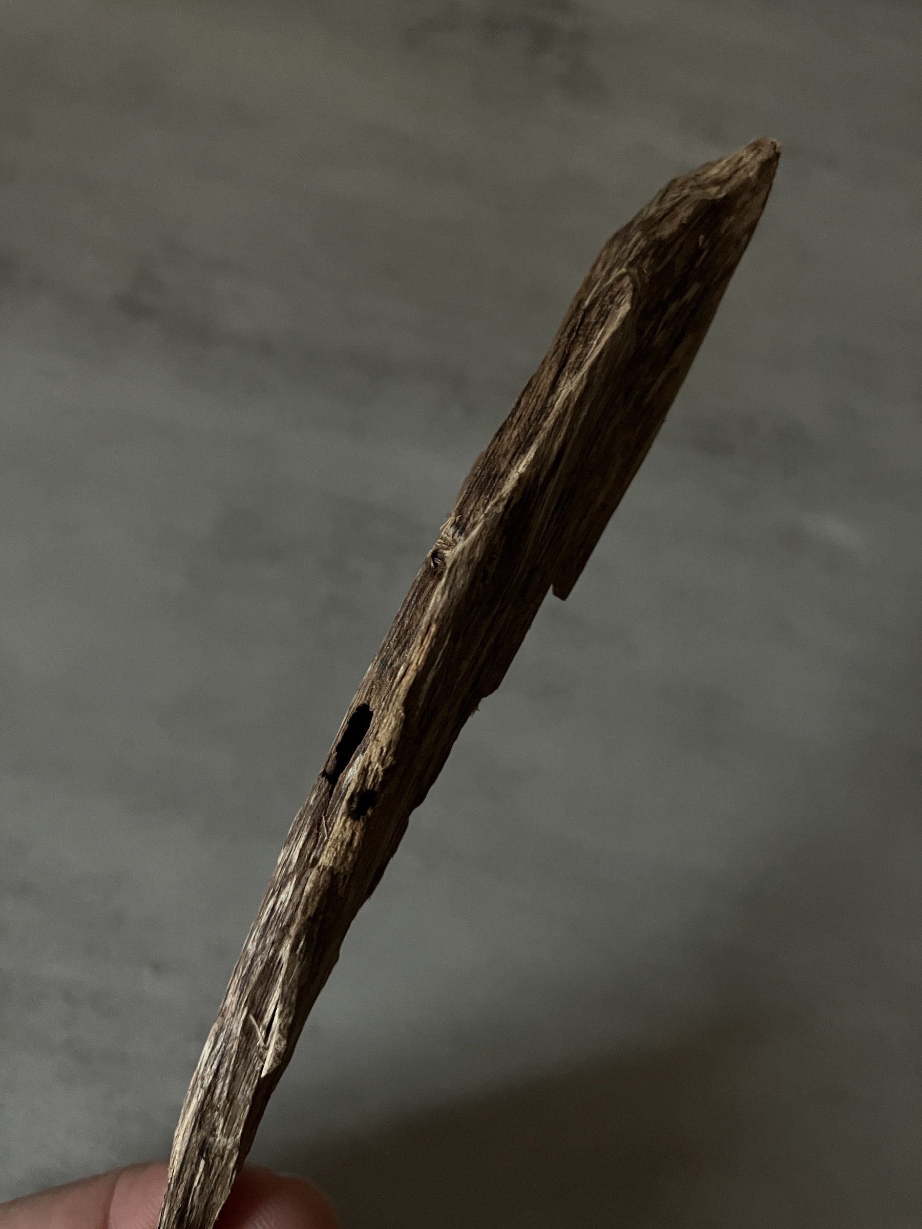 image_FF70502D-F18A-4DC0-9771-2DFF4B88A987_1761117628