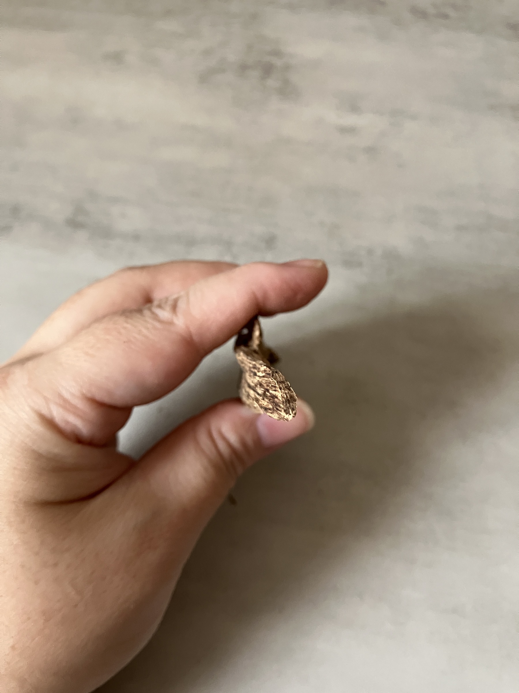 image_C140AB1B-AF73-45F1-A8DC-926B5CB9DB6A_1761117628