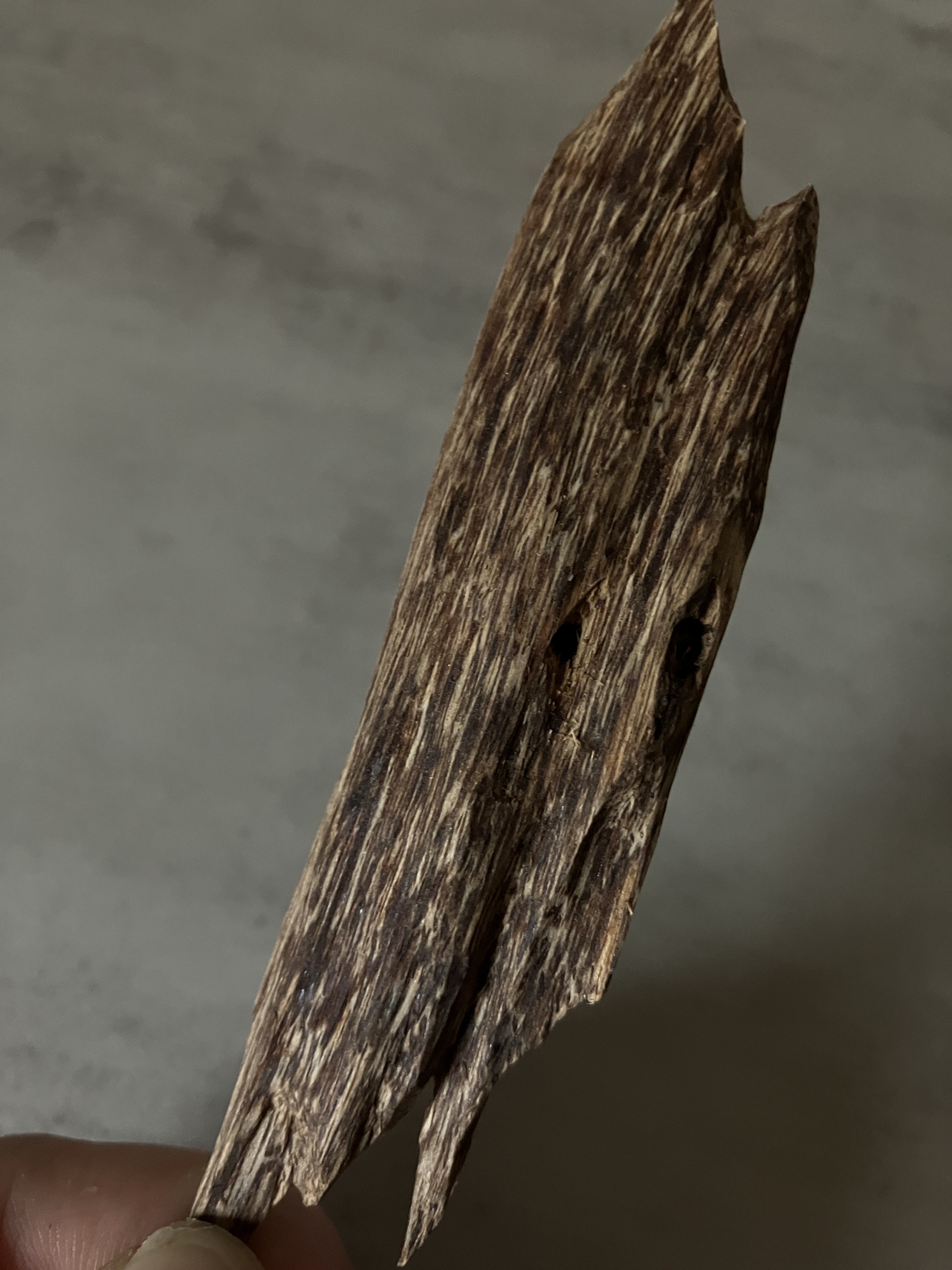 image_F2A229AD-100C-4EC6-AF6F-6250E34210D2_1761117691