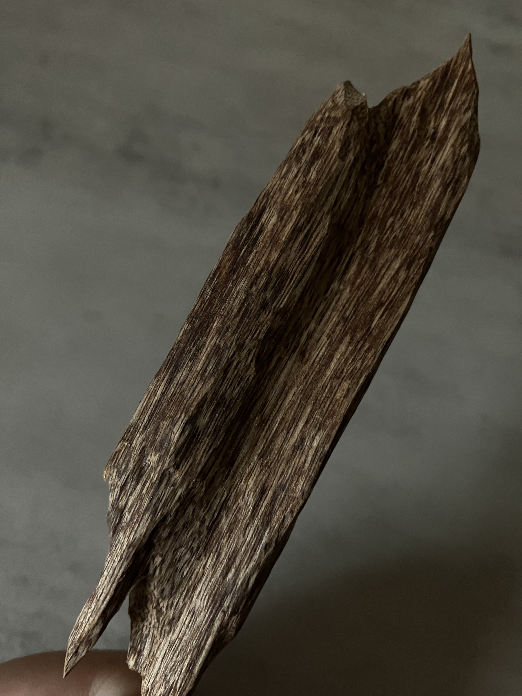 image_0E4F3BF6-8C10-486E-9FDE-FB80DB994420_1761117691