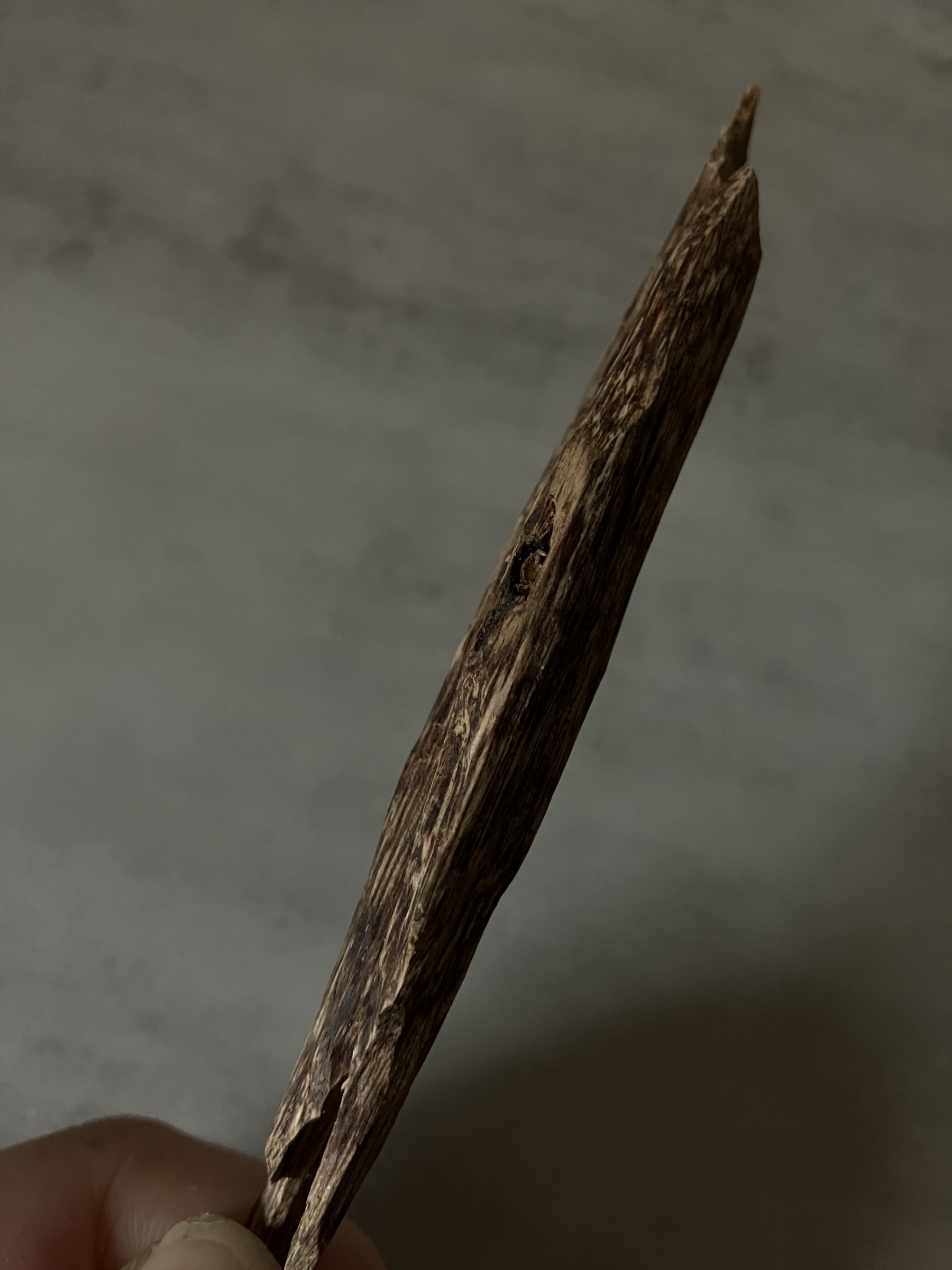 image_073B1832-A800-40DA-9D63-7B3C19B9909C_1761117691