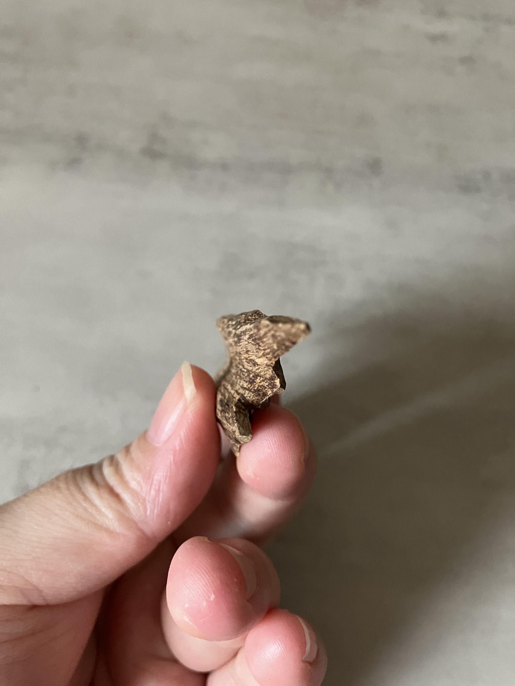 image_76884D48-3C27-46F3-88E7-16704B36941B_1761117691