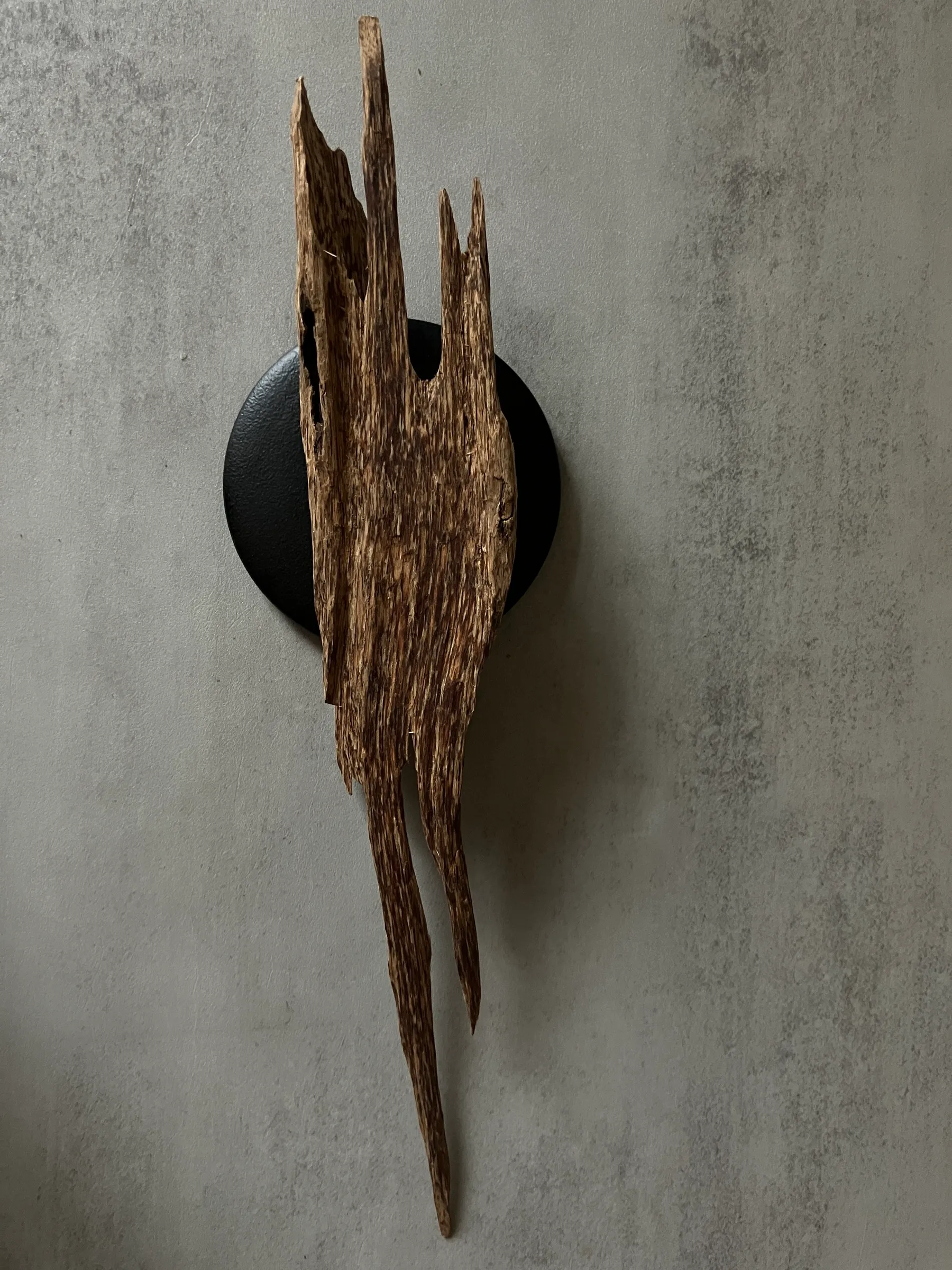 image_2276DBB0-7720-452C-B840-E7472F662C63_1761117754