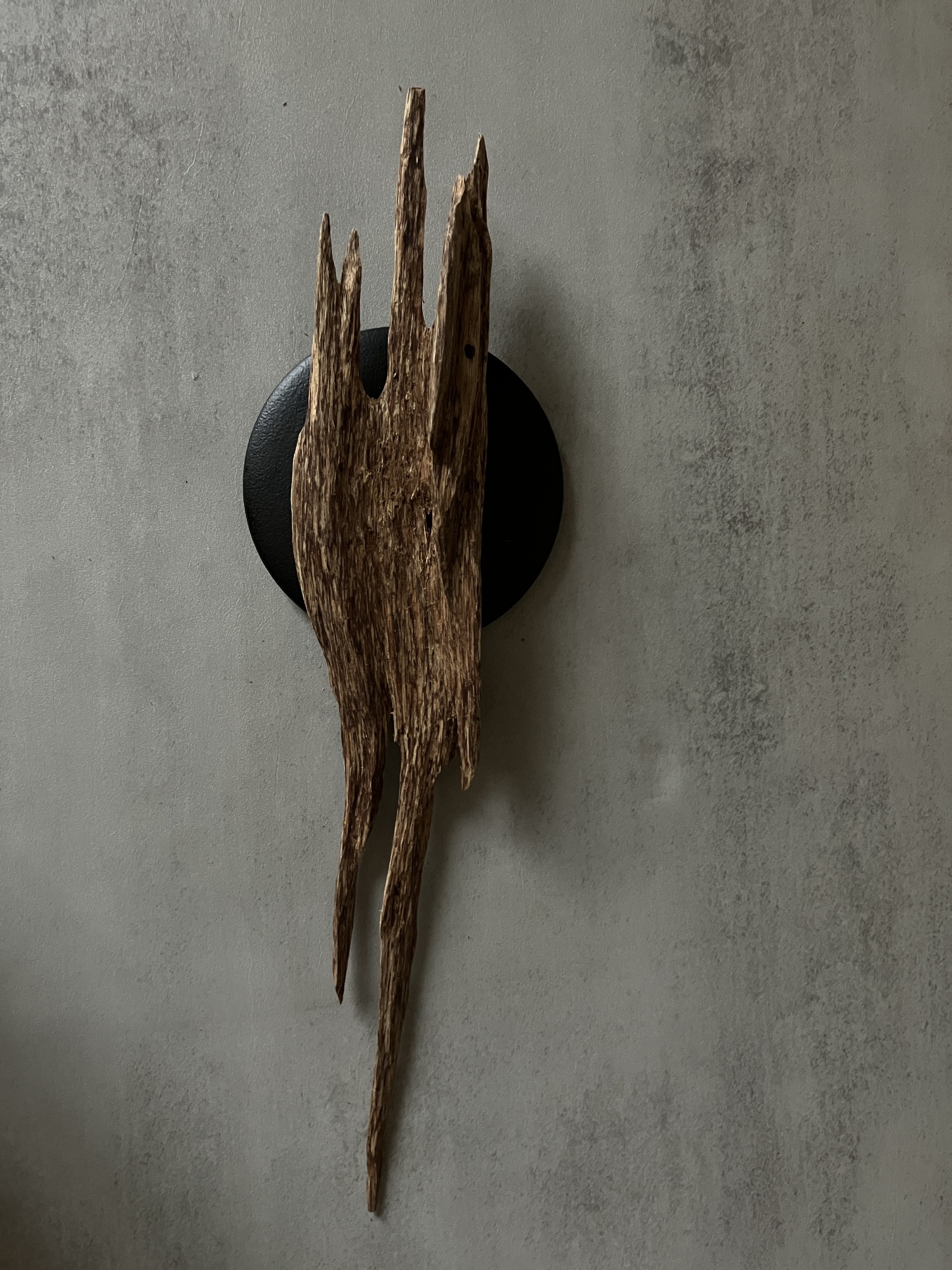 image_FFE9A3C7-DC4E-4F0E-B0D6-64E34B6EB0E5_1761117754