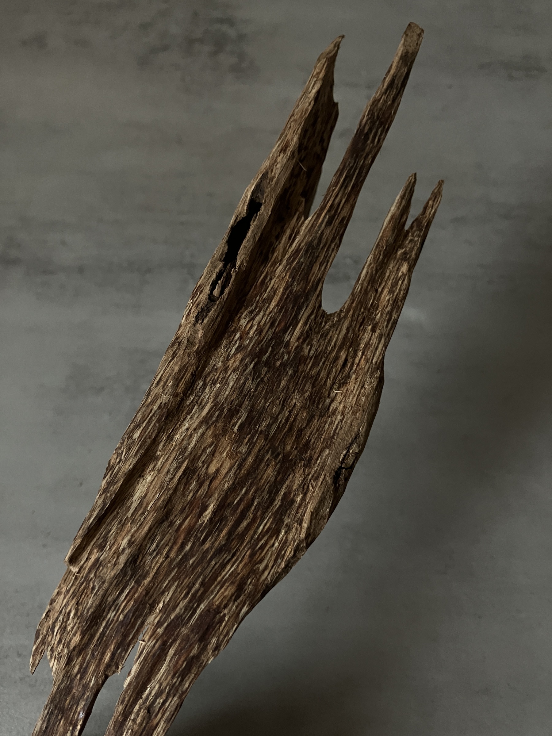 image_646B9BD9-A53A-443C-9322-F850B8379B19_1761117754