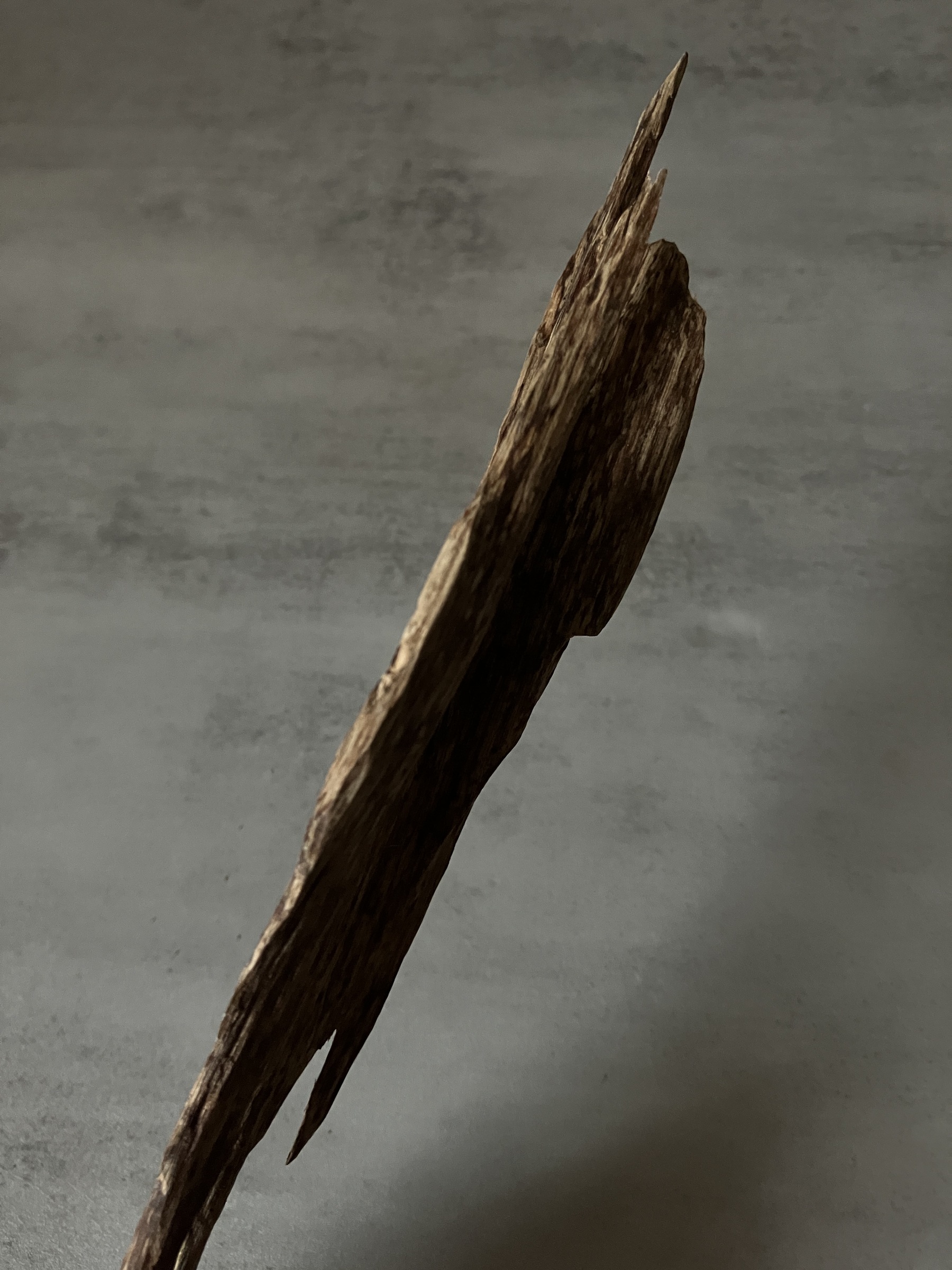 image_17D2E200-F368-427D-B1B6-C80BFC9C2036_1761117754