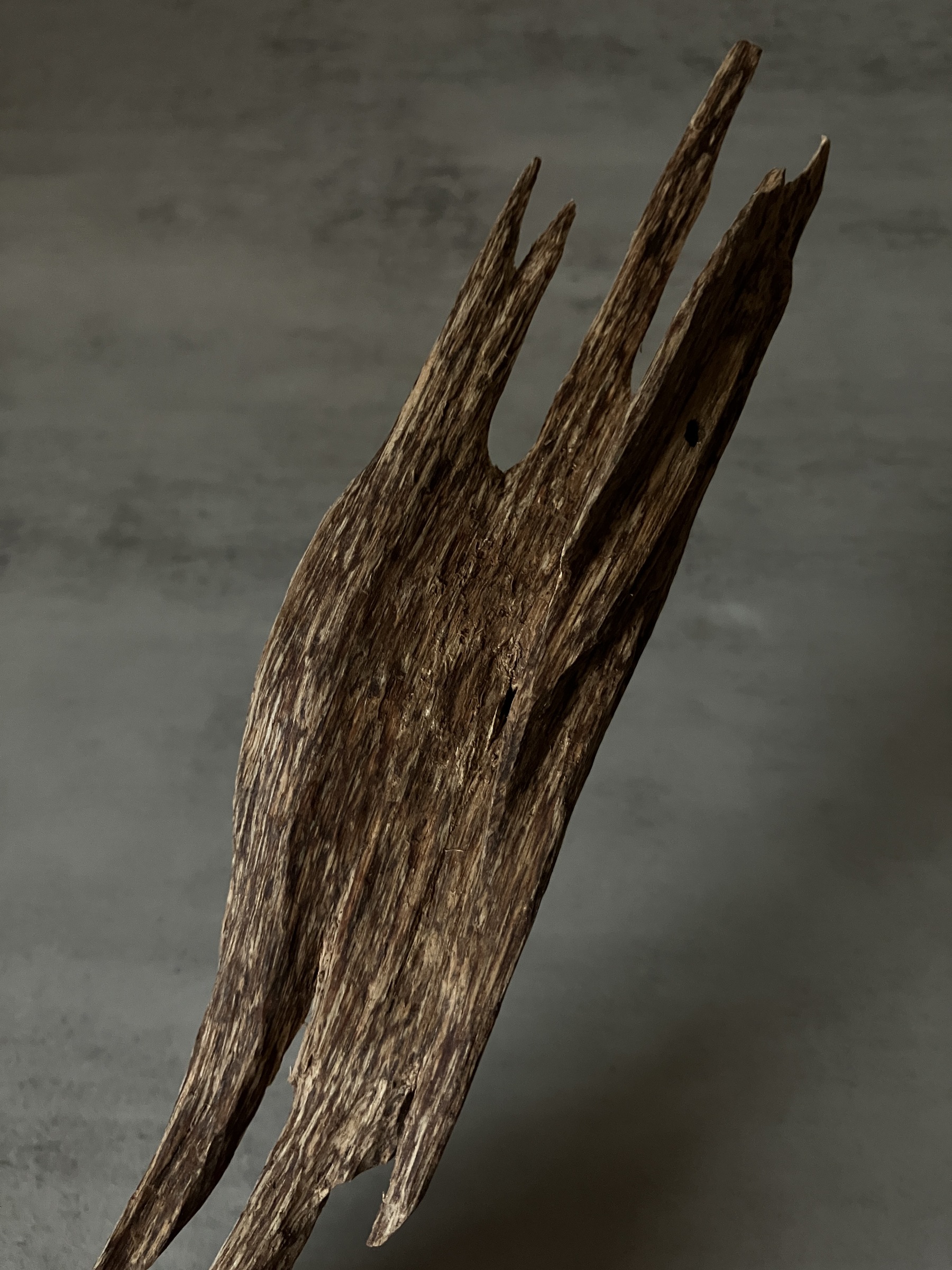 image_6BD67B7F-FF69-440E-9BFB-558C40207B51_1761117754