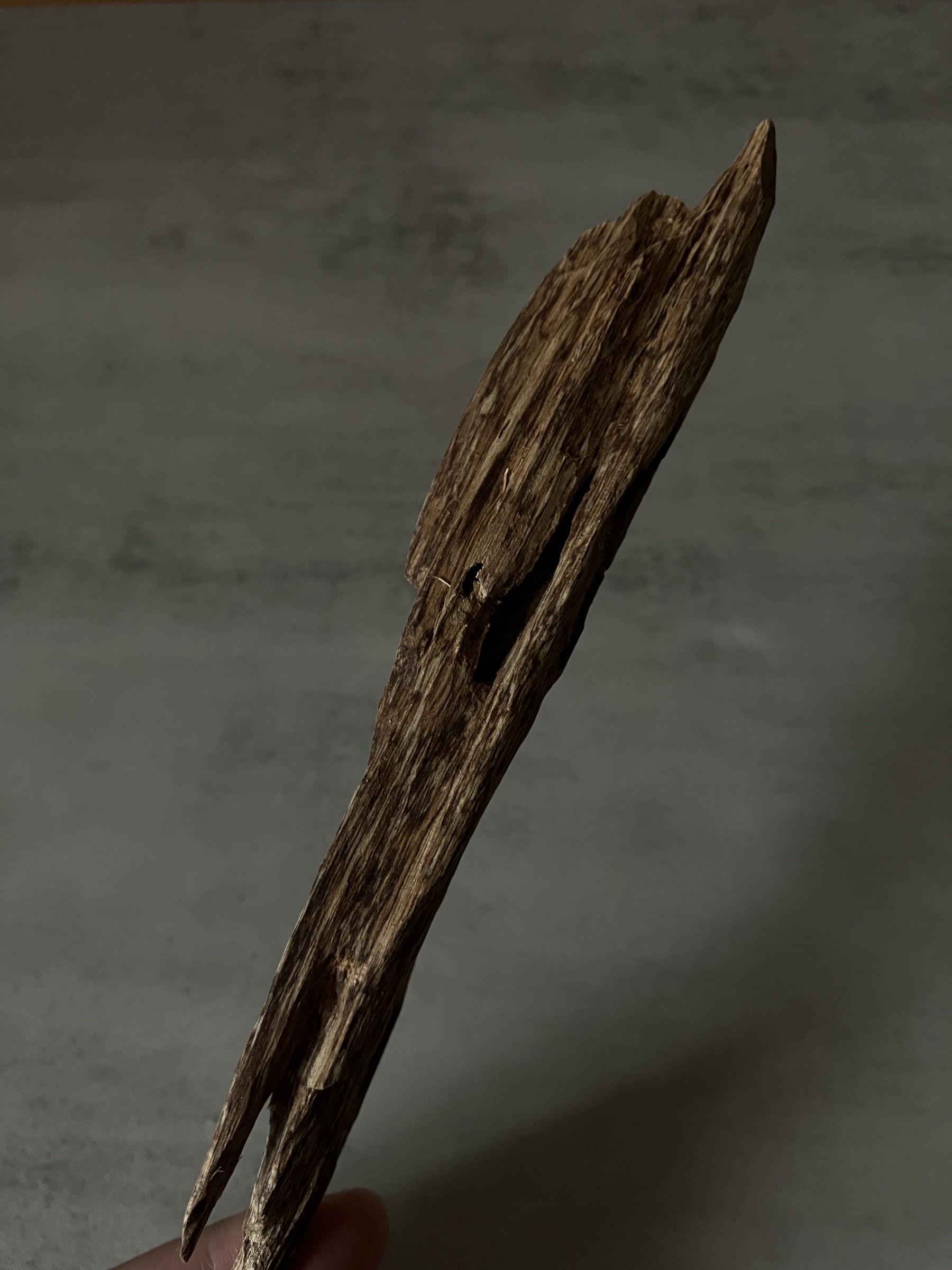 image_764533D8-85DE-40B2-BAD7-222C7BF28CCA_1761117754