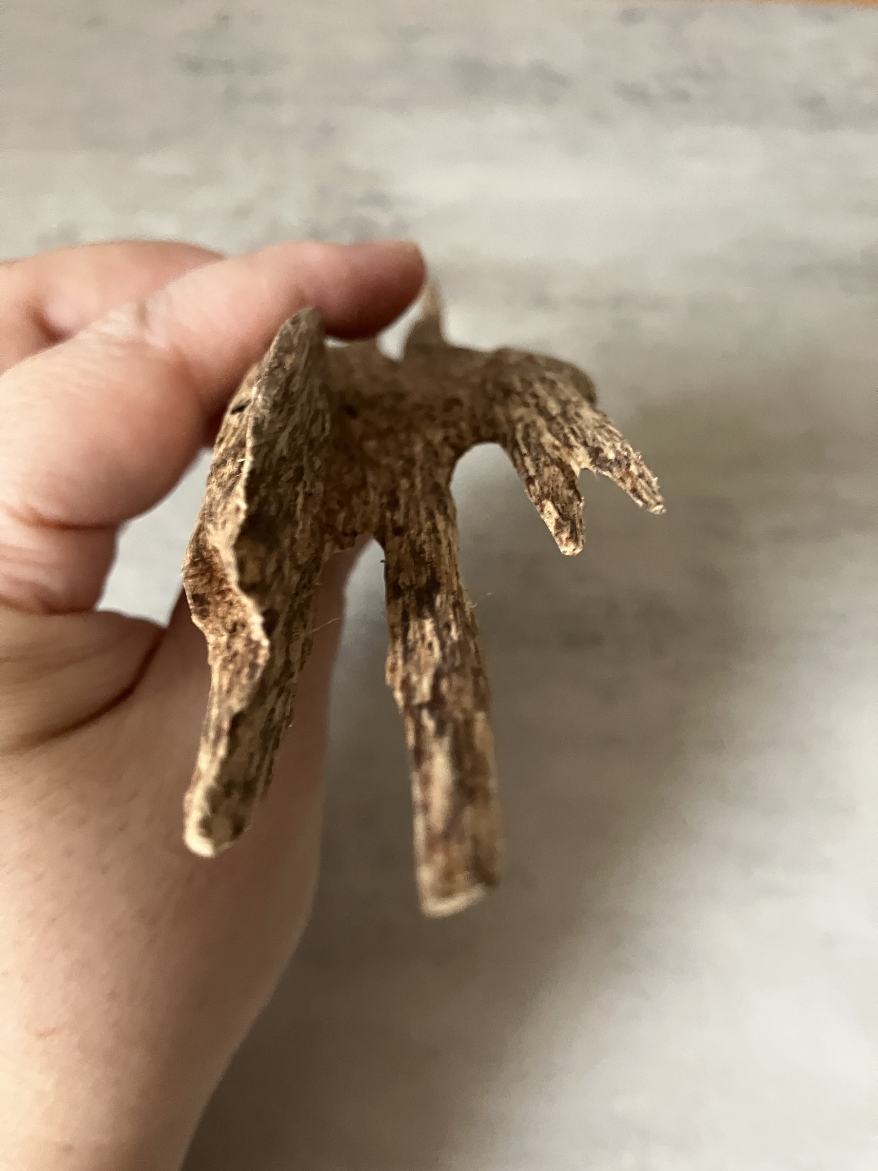 image_2BD838CB-8C8B-49EB-95B3-D66D4A517B05_1761117754