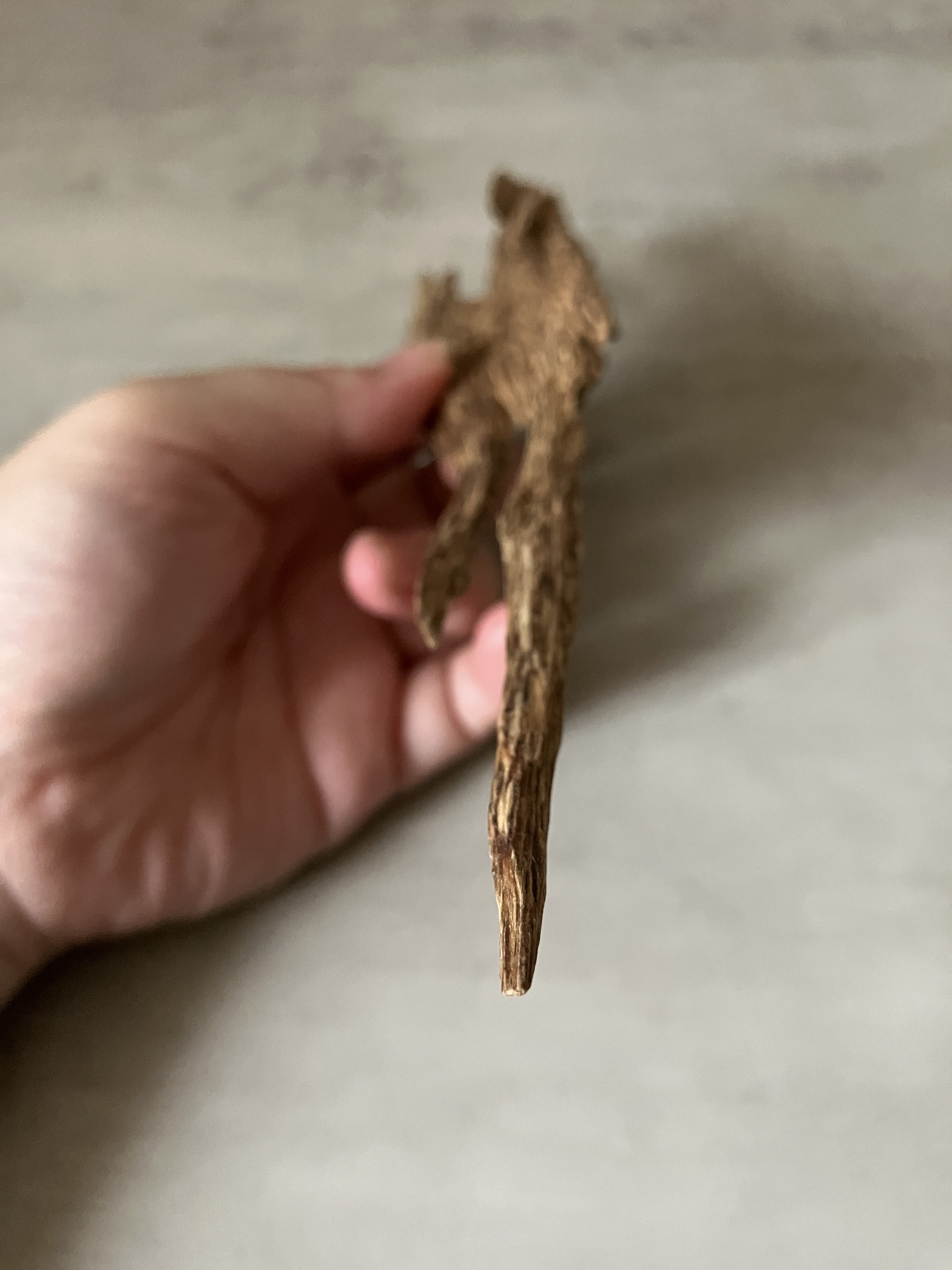 image_CE4396B6-79AC-4A3D-8F2C-C4353861197A_1761117754