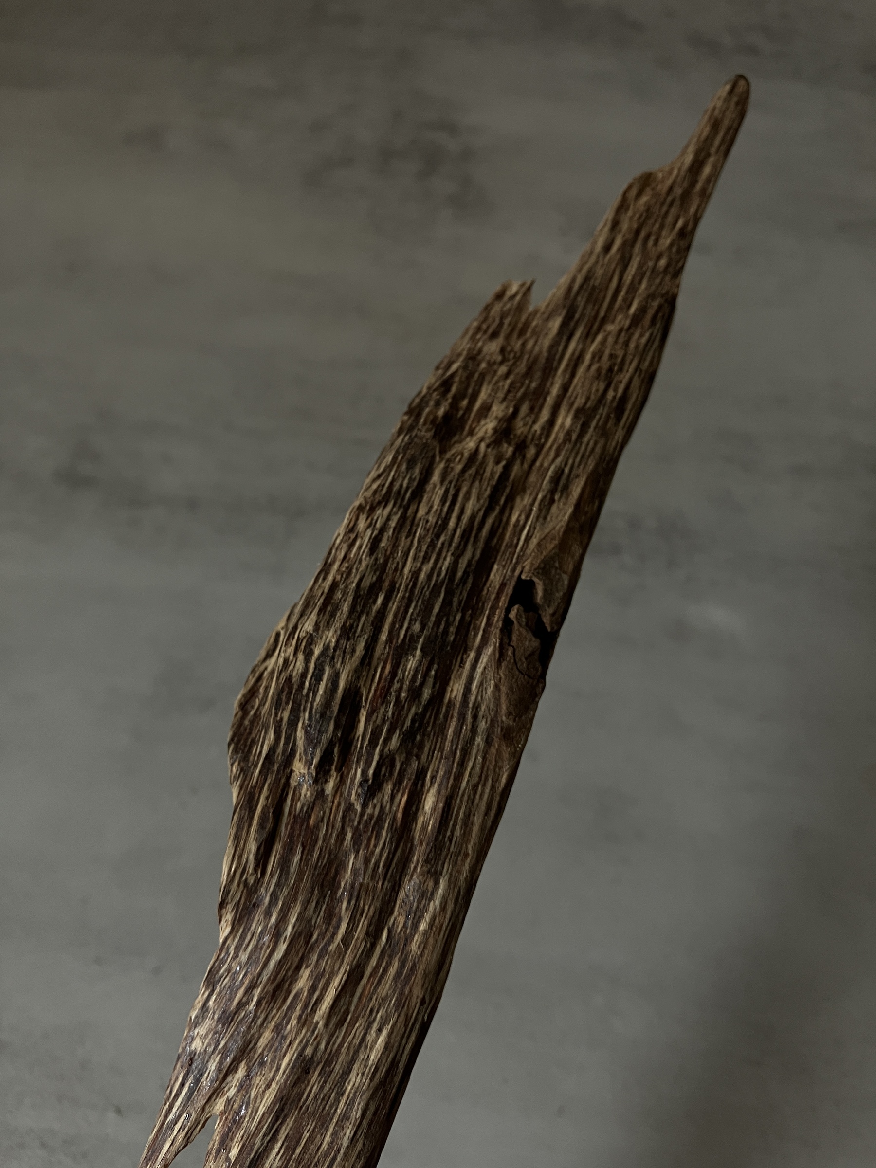 image_14D2BF8D-DC5D-4F97-AA3B-76249B29954D_1761117828