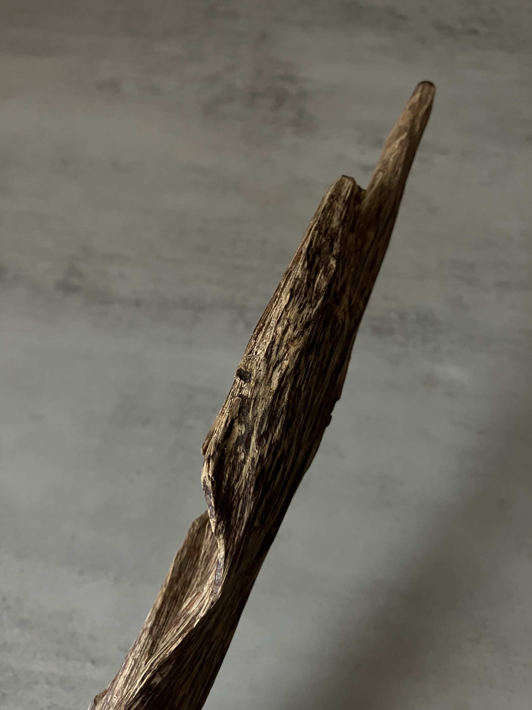 image_30A36C3E-9904-4889-89C7-5A8E9779E96C_1761117829