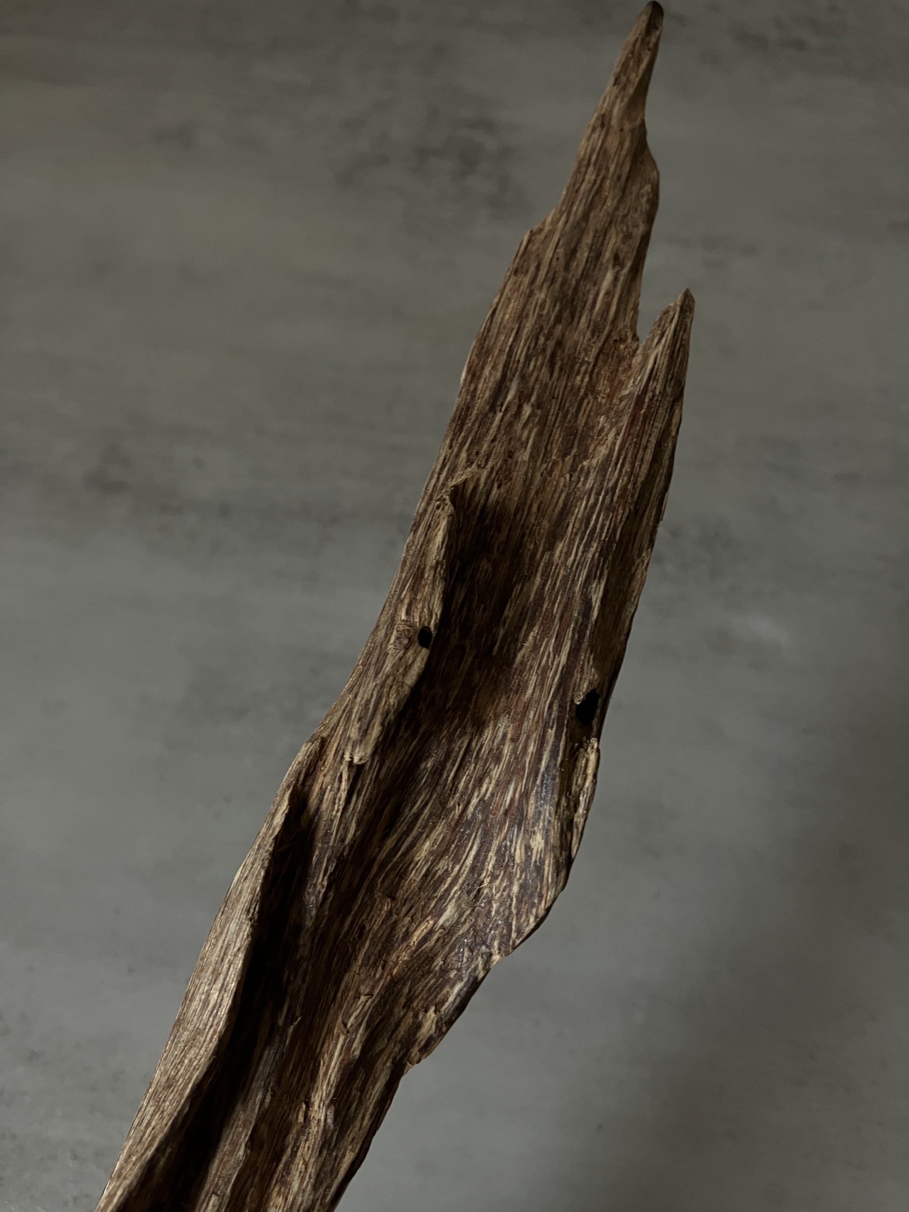 image_4720A3EB-817B-4B64-9AA2-DC9BC4FB1477_1761117829