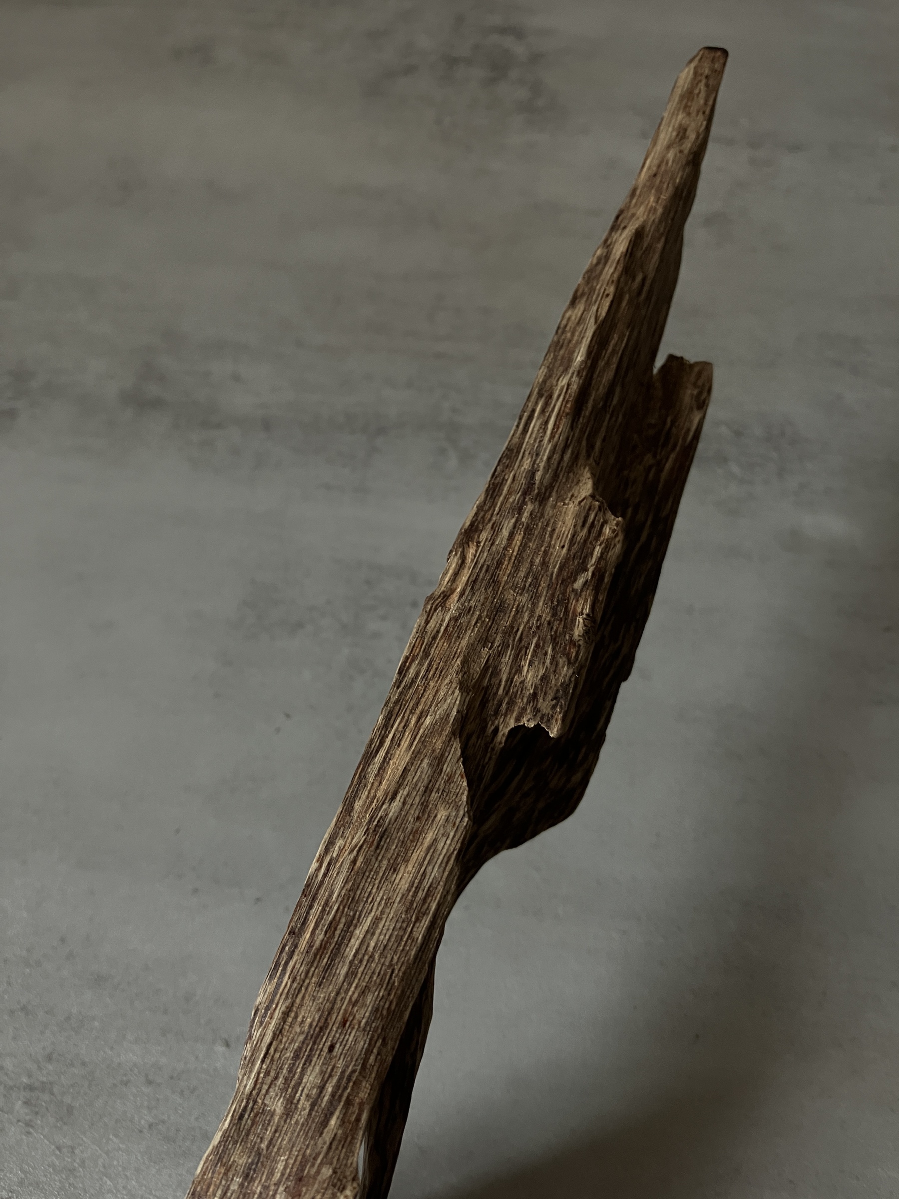 image_0023447A-F520-4E34-A481-07E1B67AFD70_1761117829