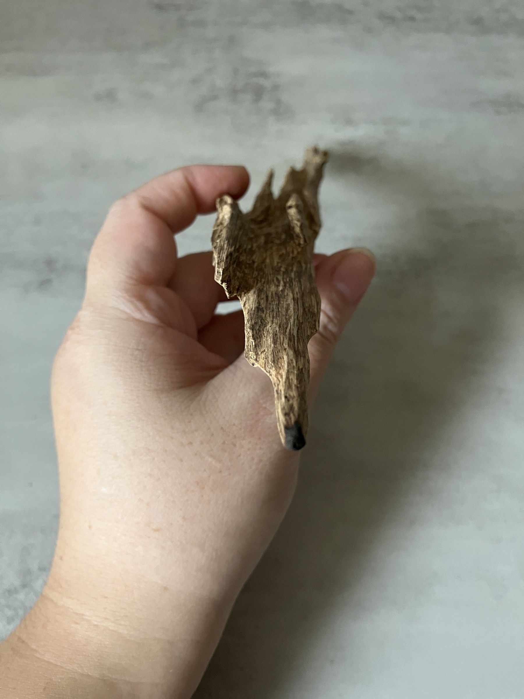 image_A089643C-0F6A-4BD8-B776-43ACBF6BA43C_1761117829