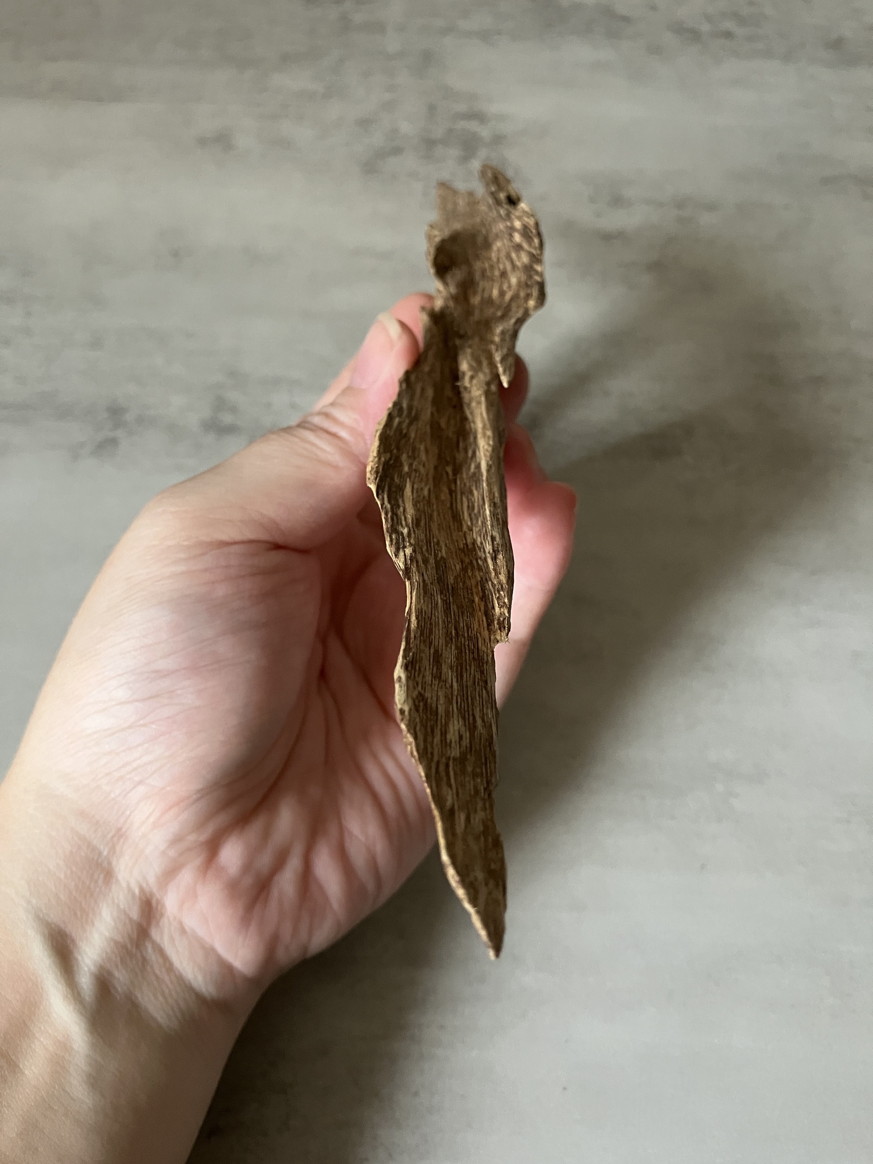 image_79ACD5C9-A947-4D3D-9470-1404C9479D5A_1761117829