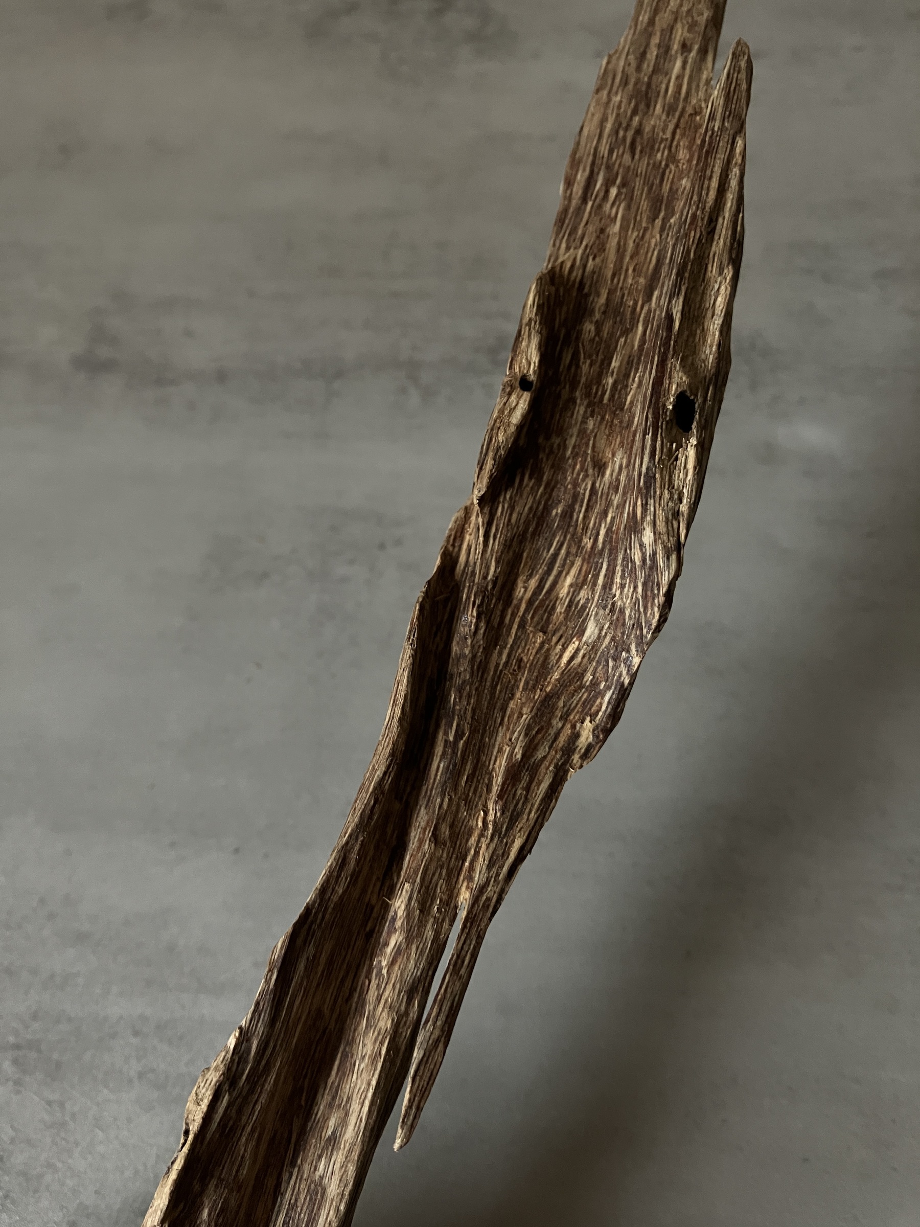 image_91AC7EC7-FD96-48E6-807F-404D150C49EC_1761117829