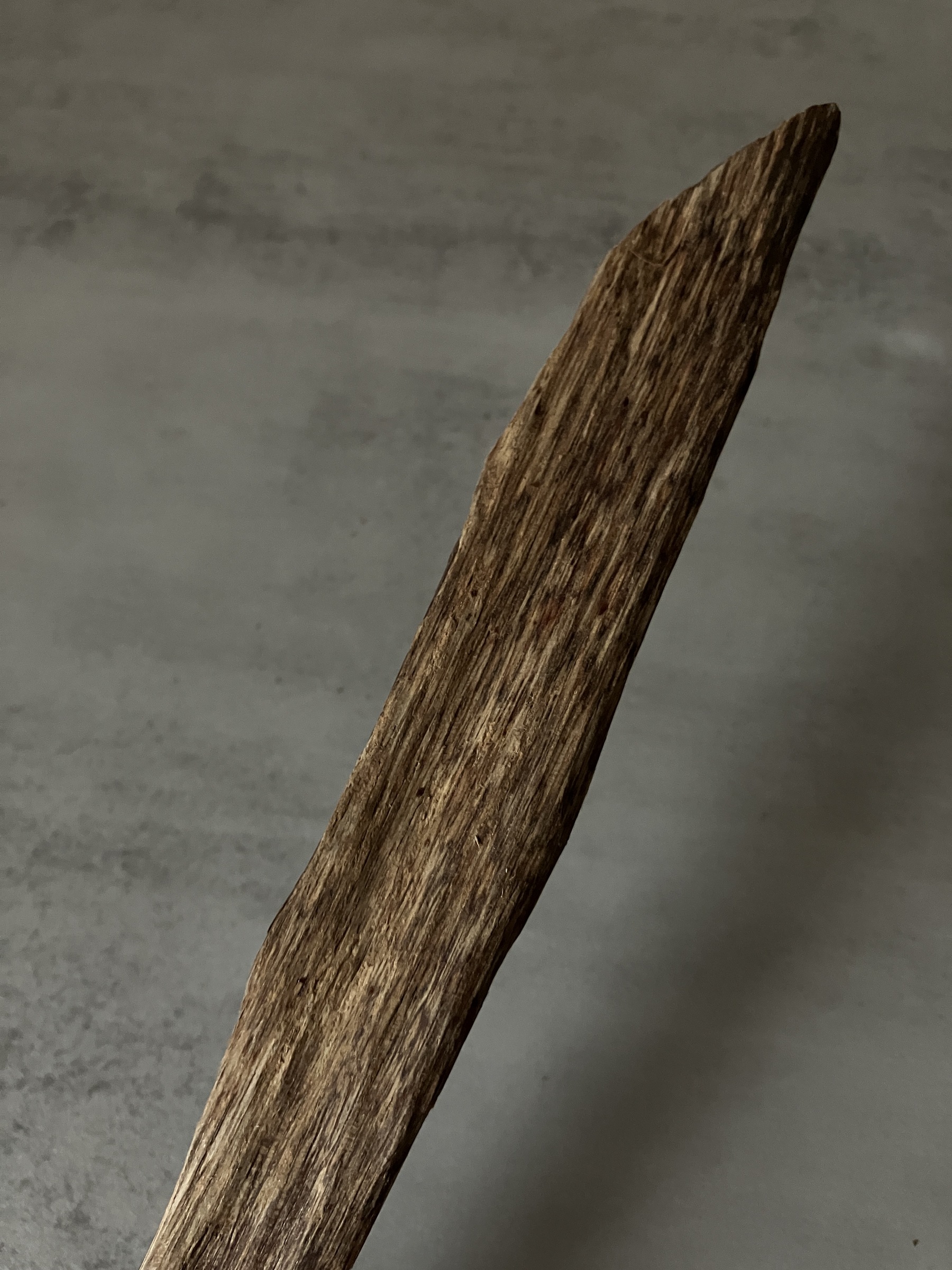 image_08802614-8D52-49BA-A64E-59ABB9ACF839_1761117891