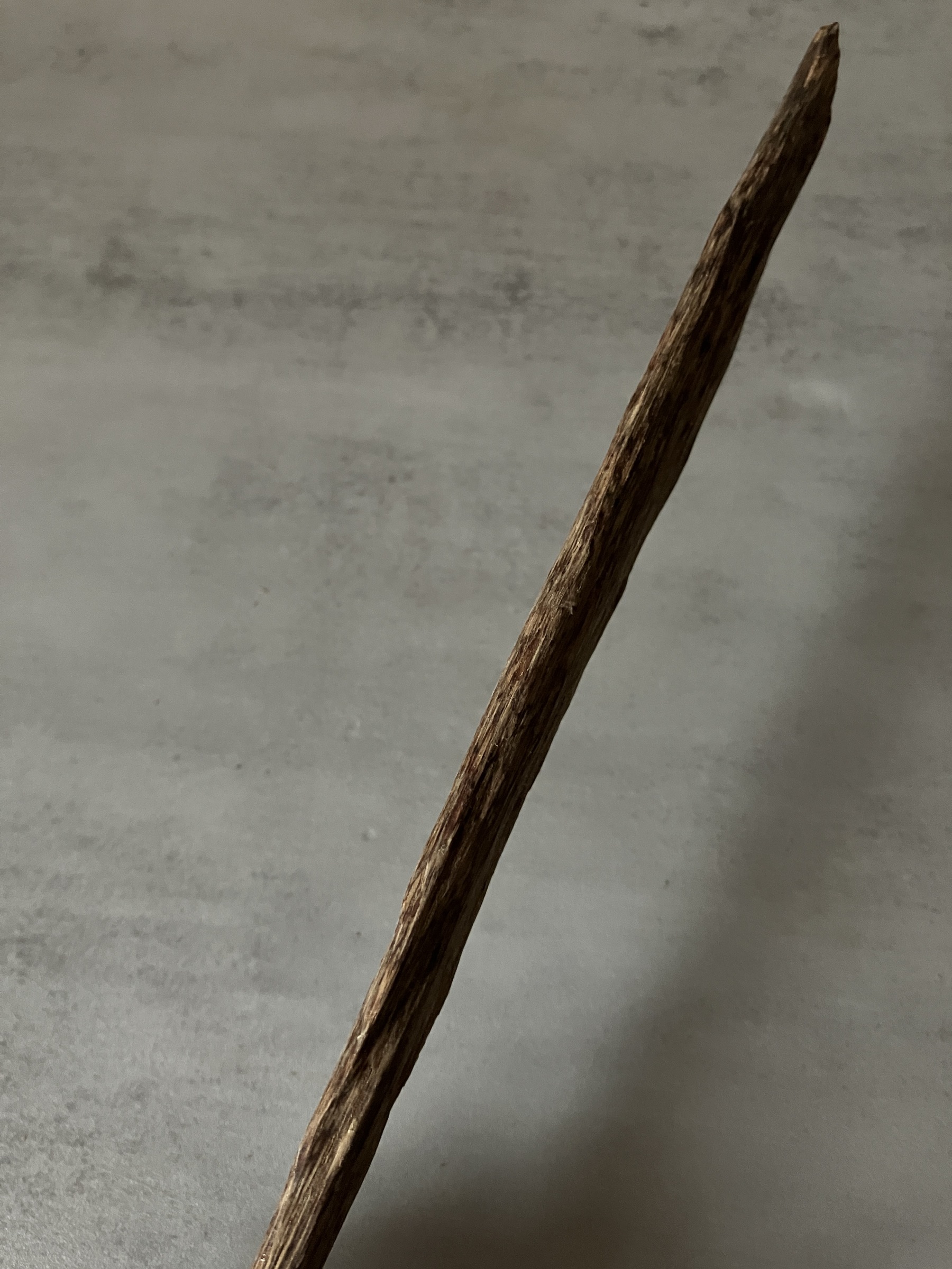 image_4ED58465-CAB1-4BDA-BBAD-D37B7786A0BC_1761117891